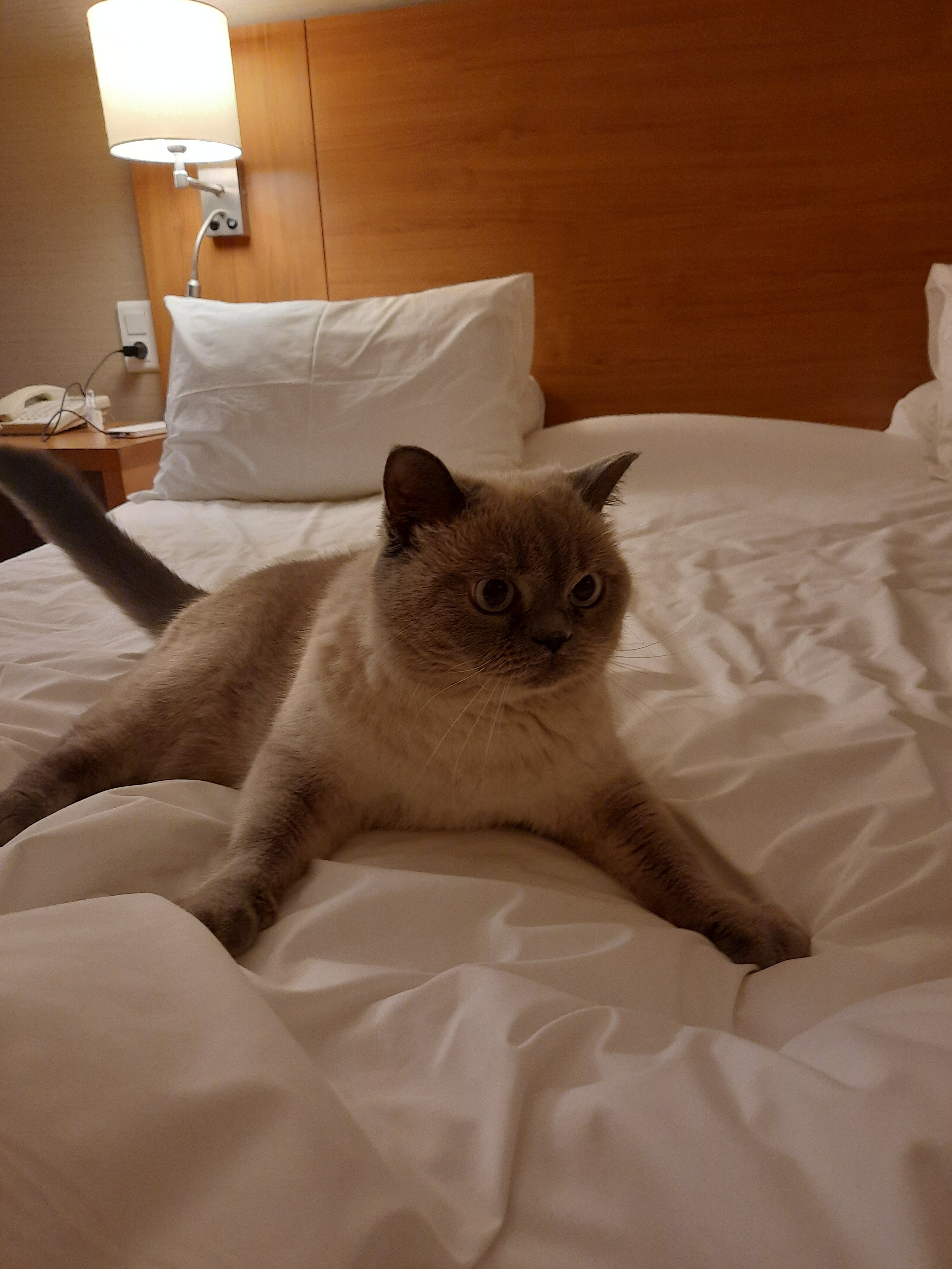 Фото Сущевский Сафмар