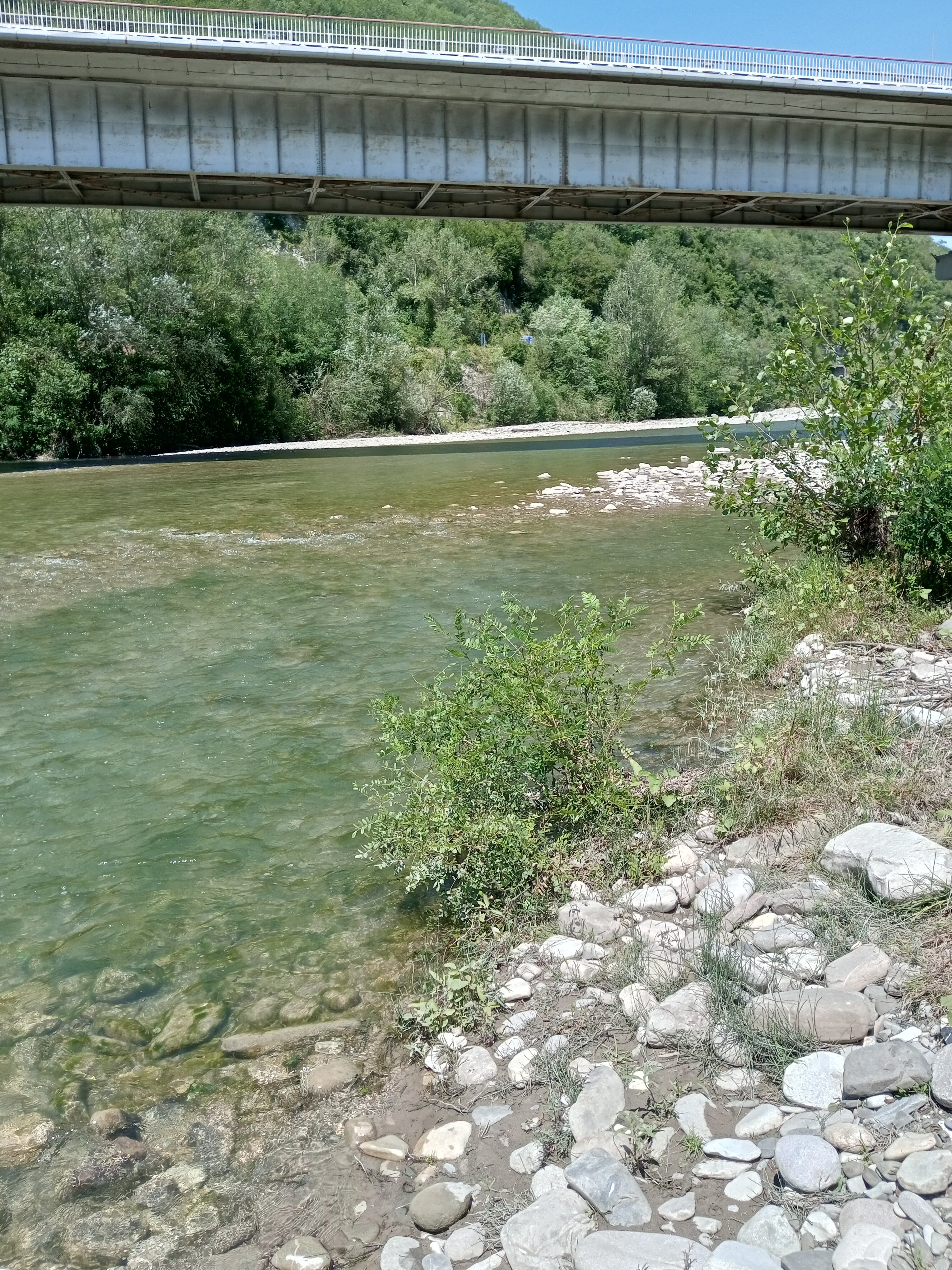 Фото Фрегат