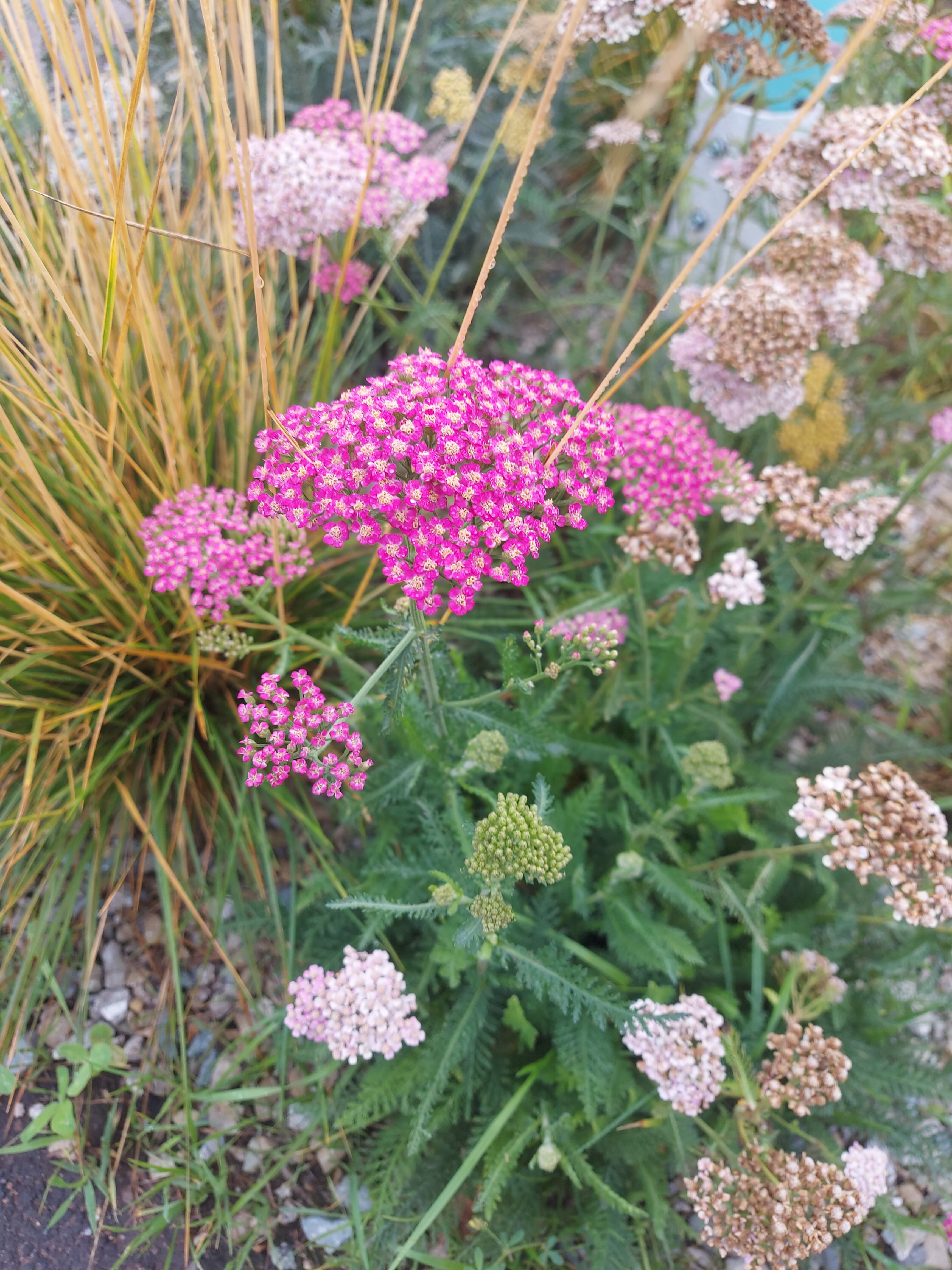 Фото Семейные истории