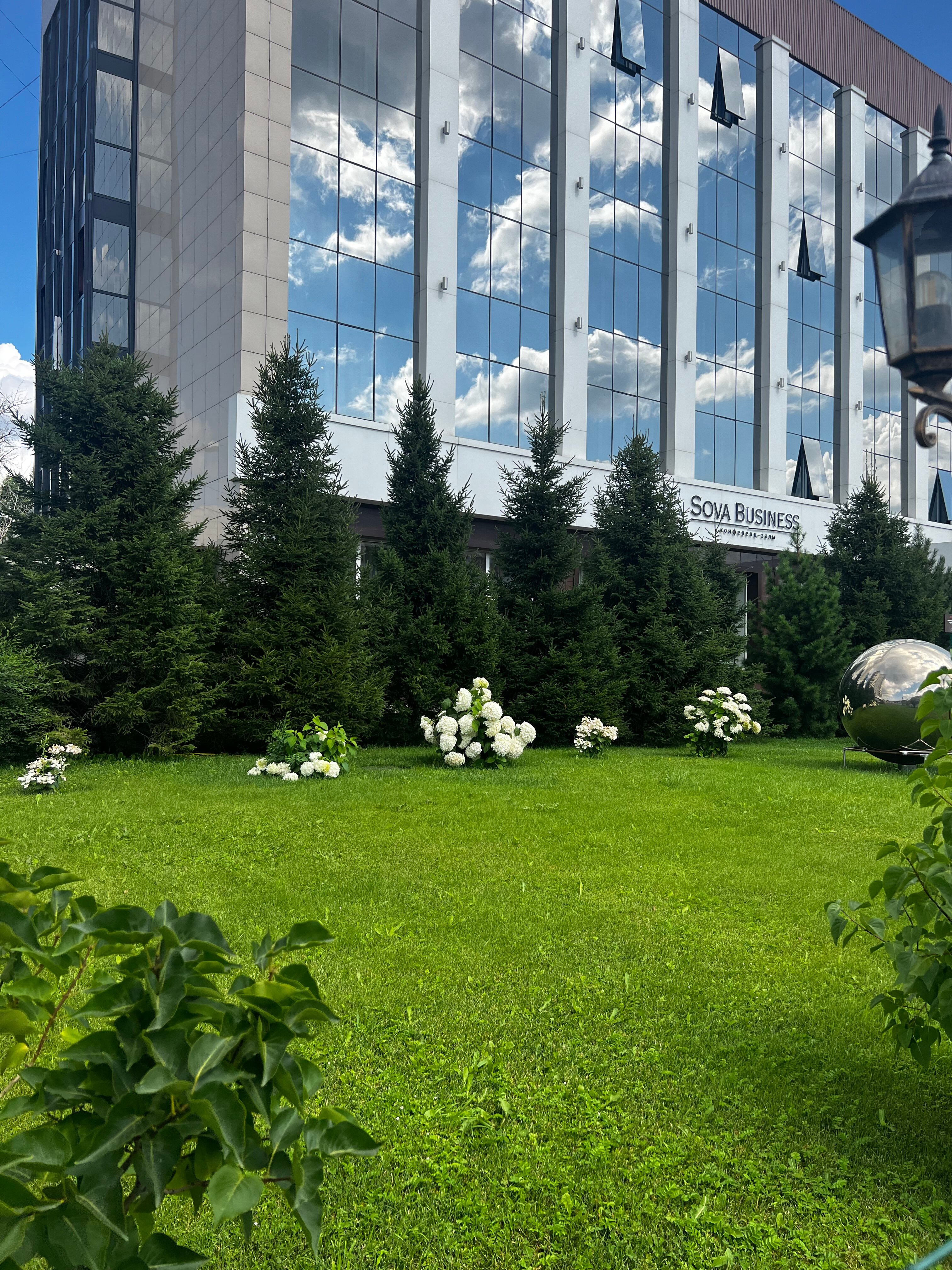 Фото Снежная сова