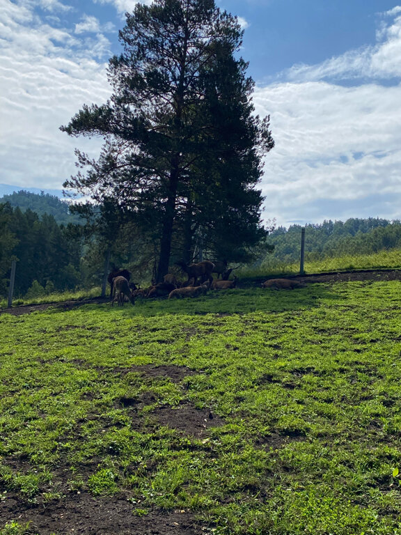 Фото Байгабак