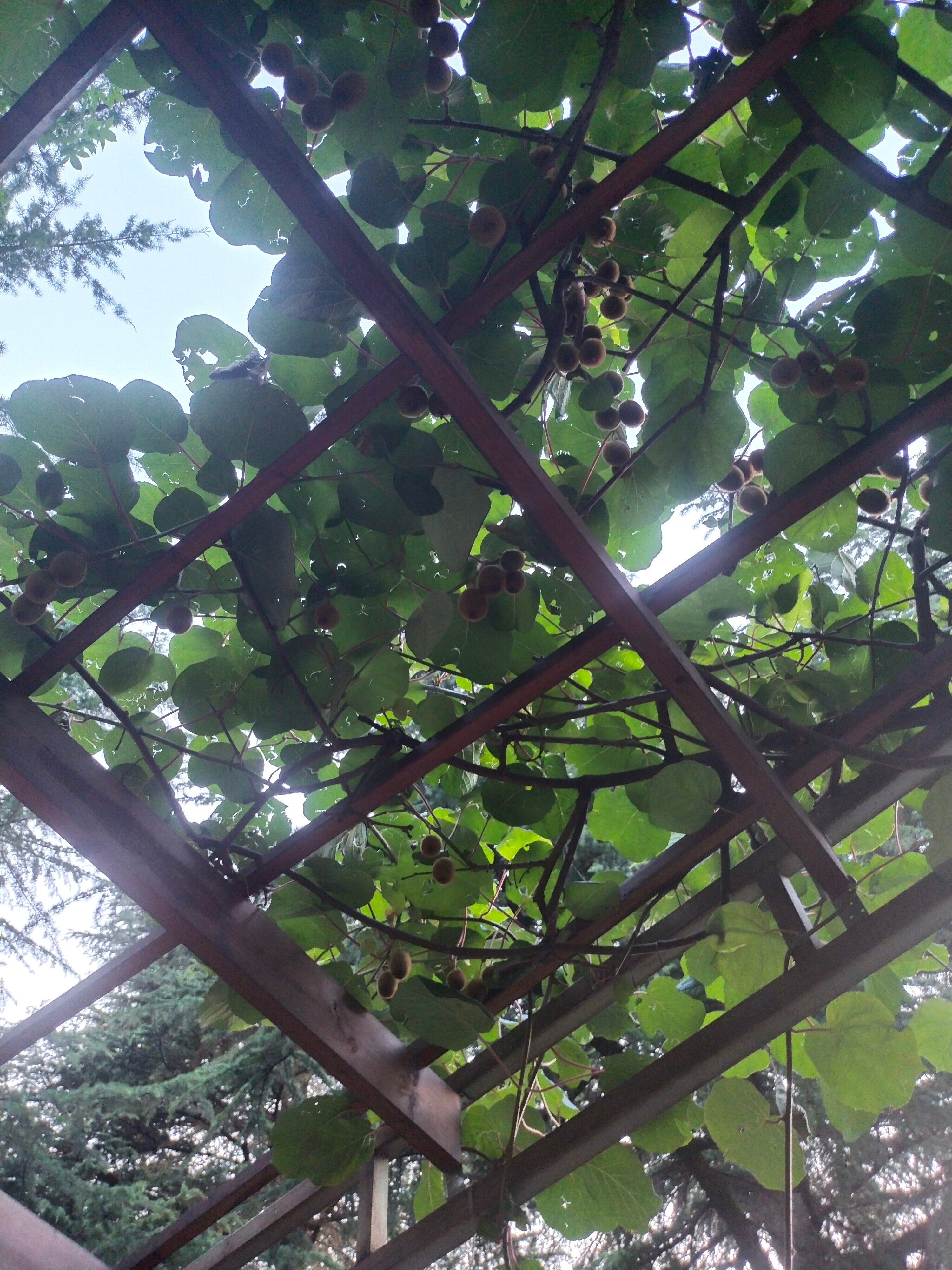 Фото Семейный