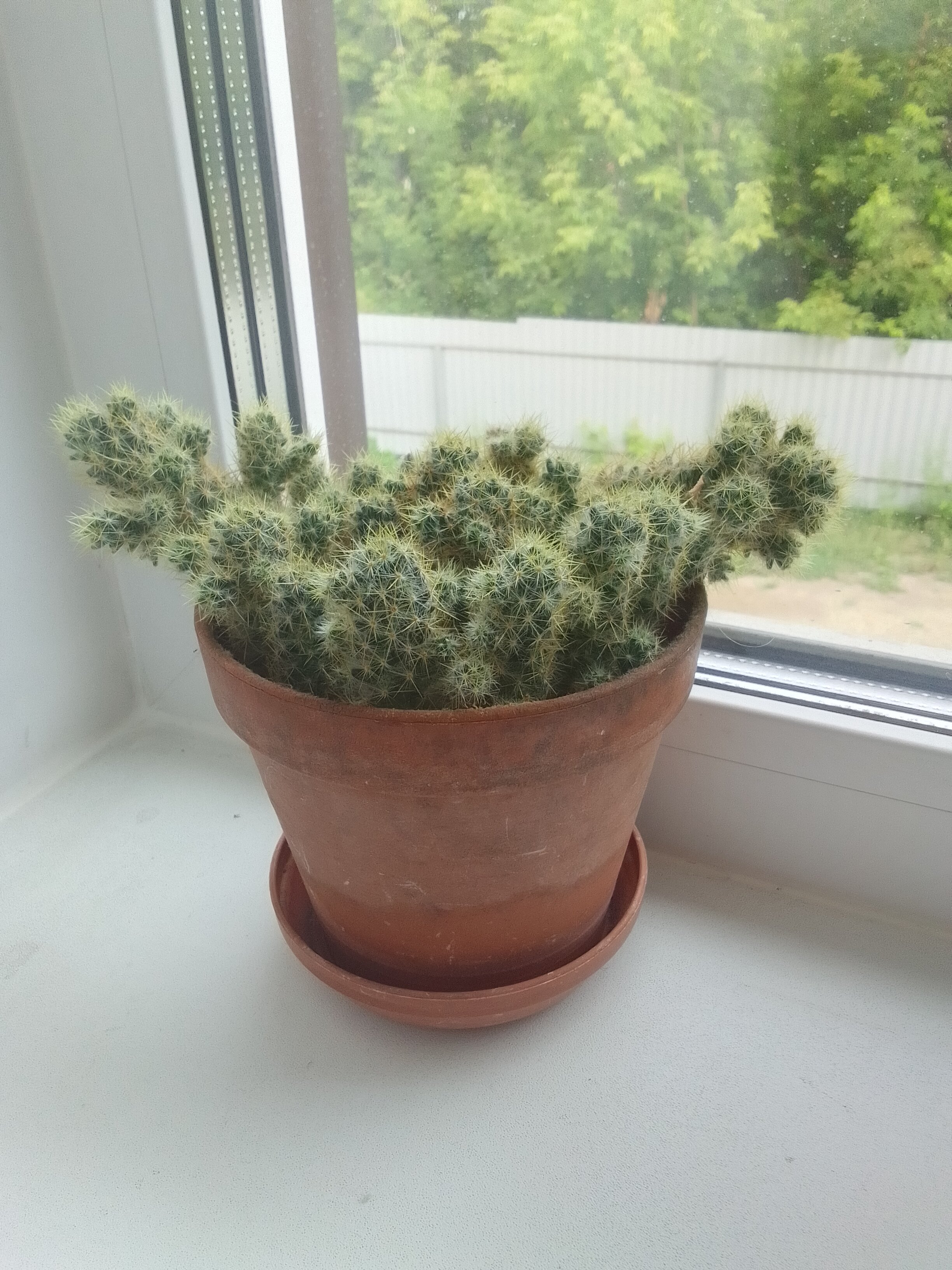 Фото У Вокзала