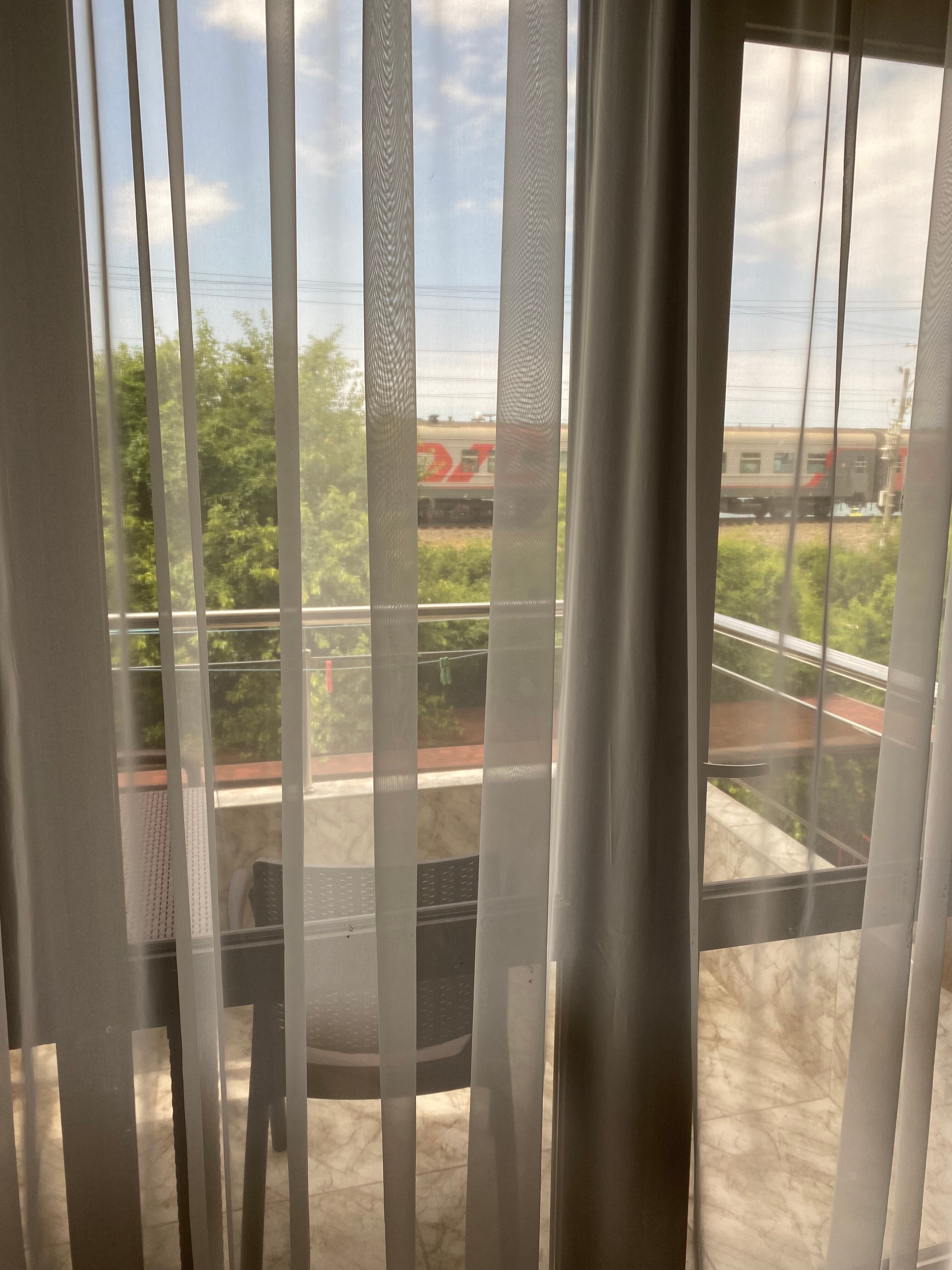 Фото Роза Ветров