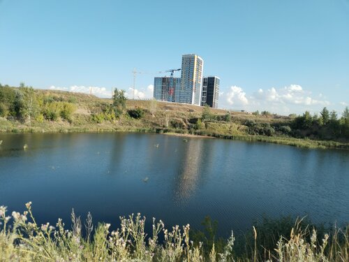 Мен ұйықтап жатқан әйелді ұрып, оның ішіне кірдім