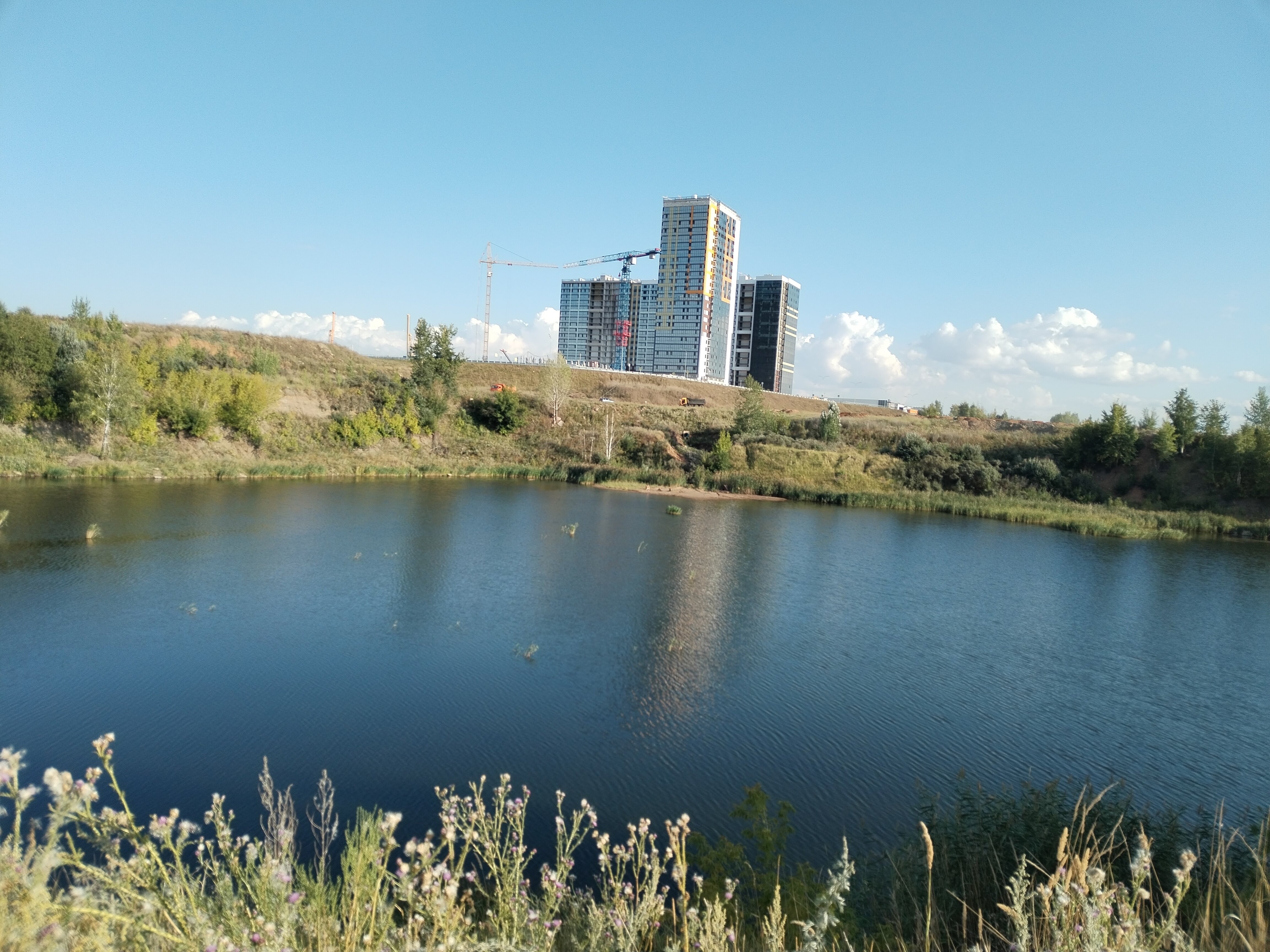 Желідегі порно фильм