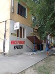 Tool Zubr (Tatishcheva Street, 10), construction tools