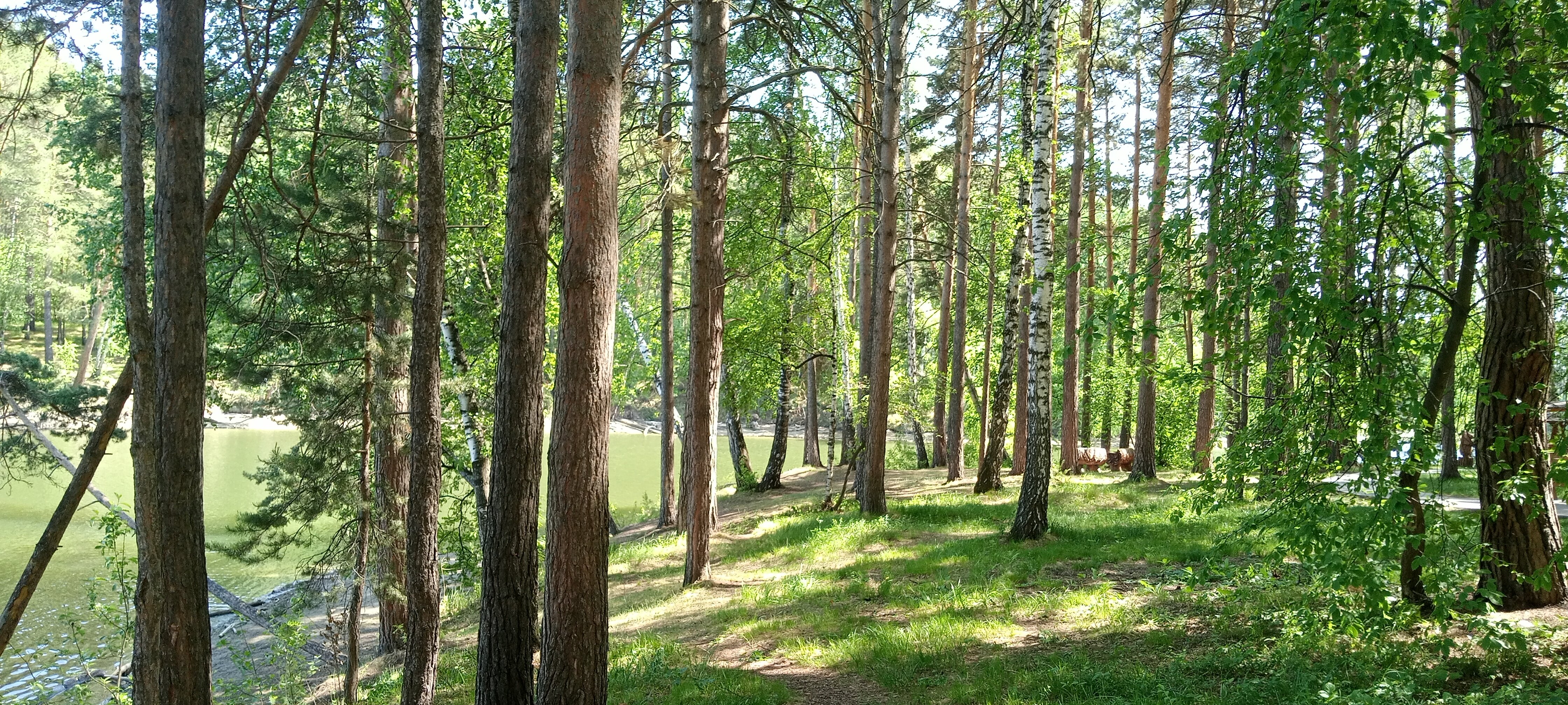 Фото Рассвет