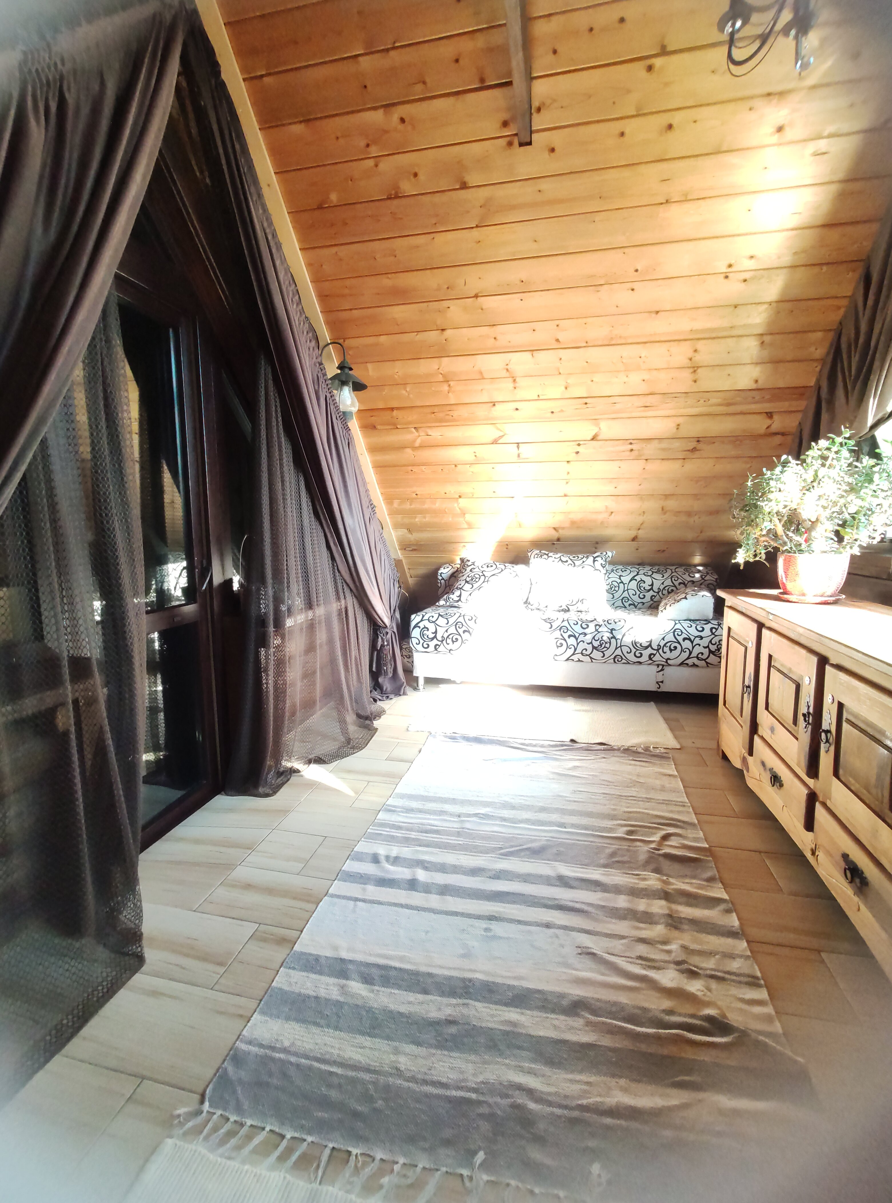 Фото Серый Волк