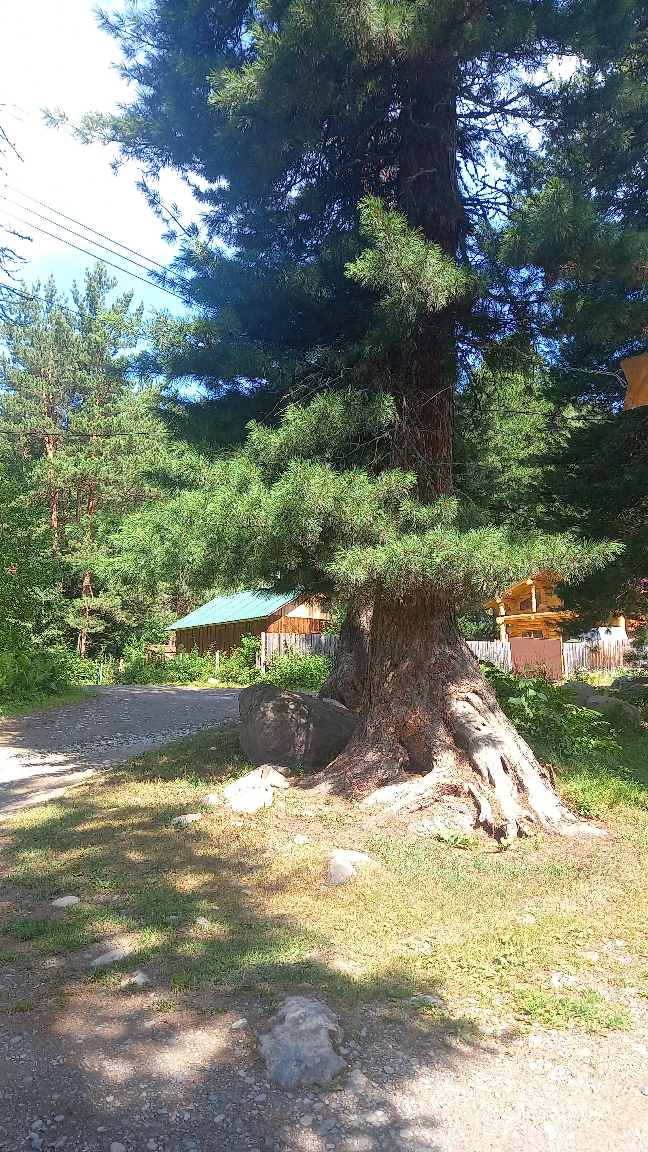 Фото Усадьба Лукоморье