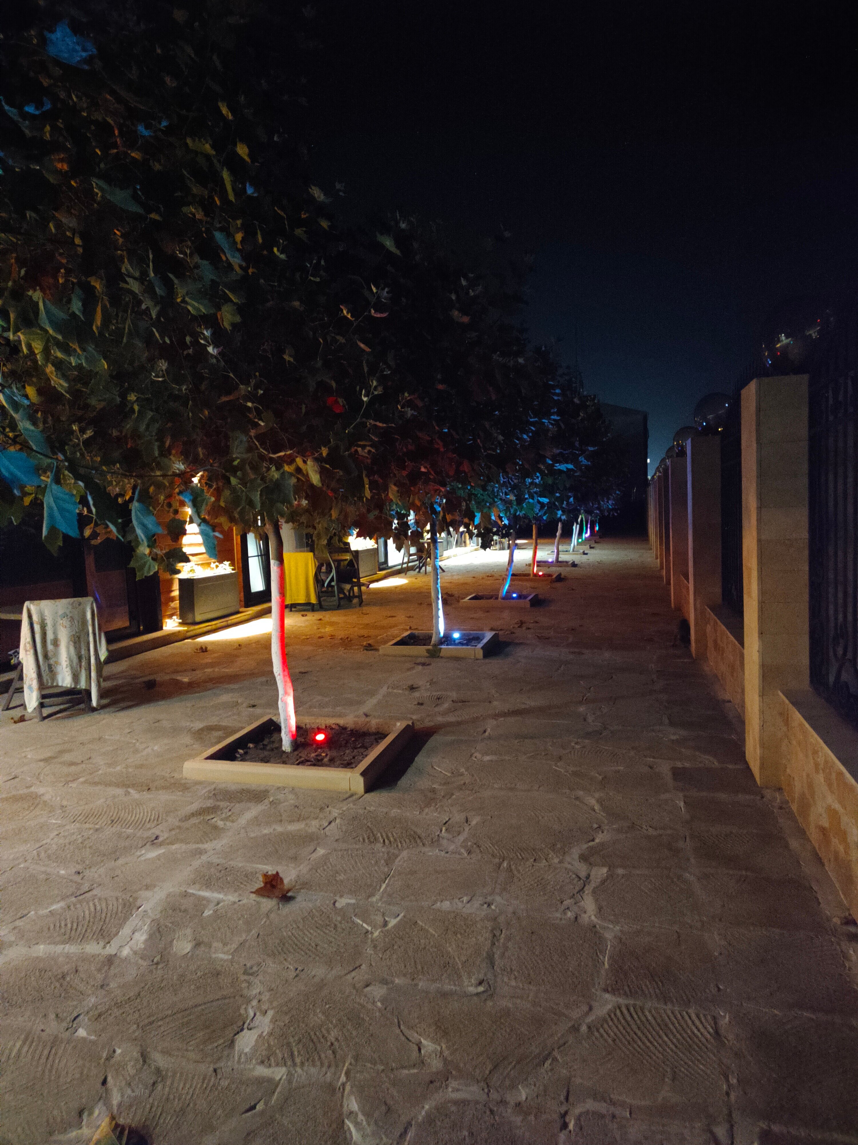 Фото Санитас