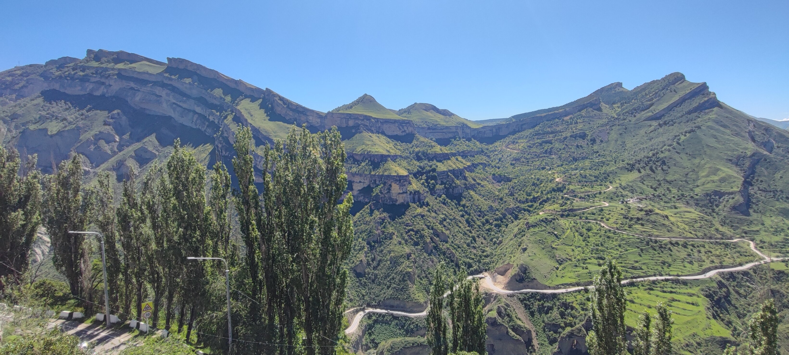 Фото Белые Журавли