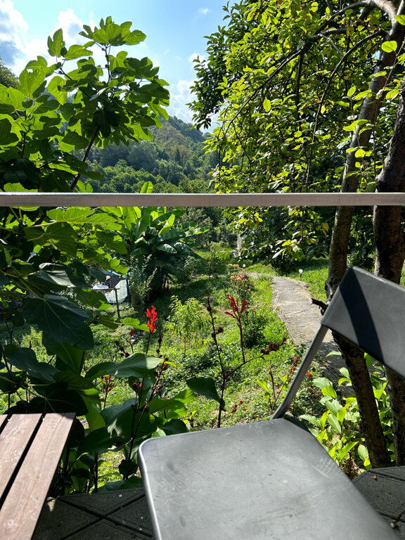 Фото Заповедник