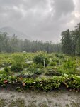 Полярно-альпийский Ботанический Сад (ulitsa Fersmana, 22), parque de cultura y ocio