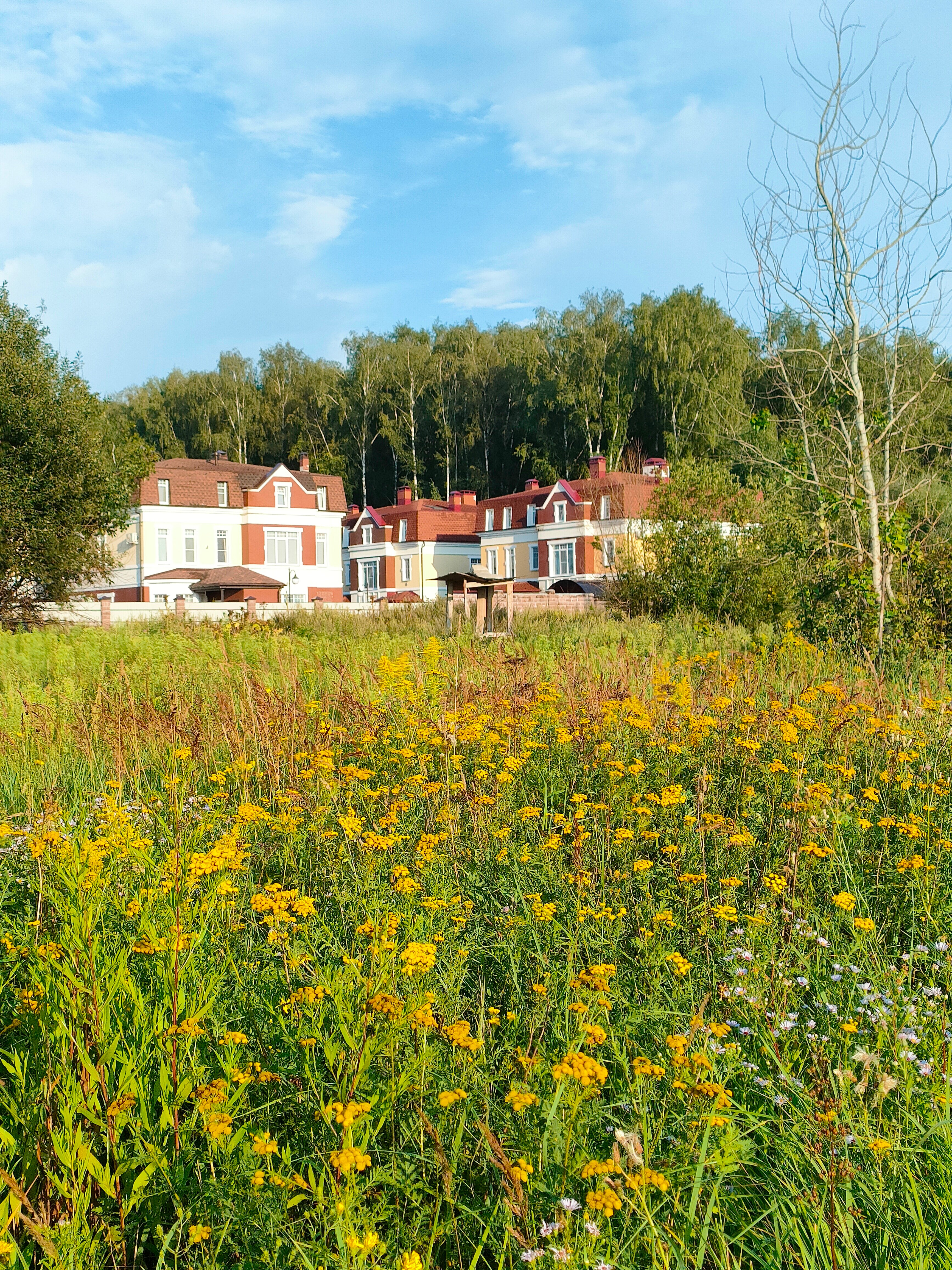 Фото Эдем Бизнес Отель