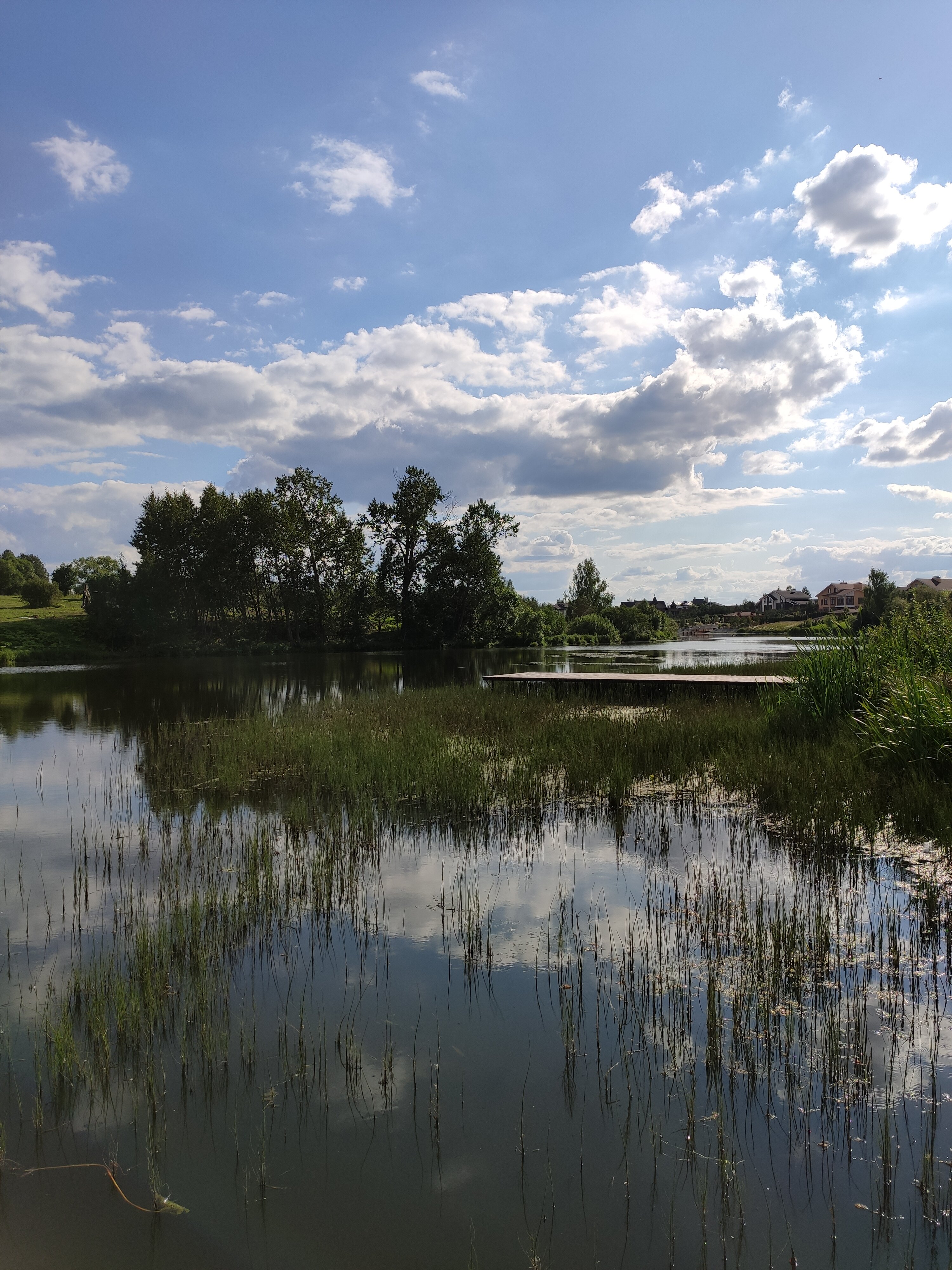 Фото Вилла Форца