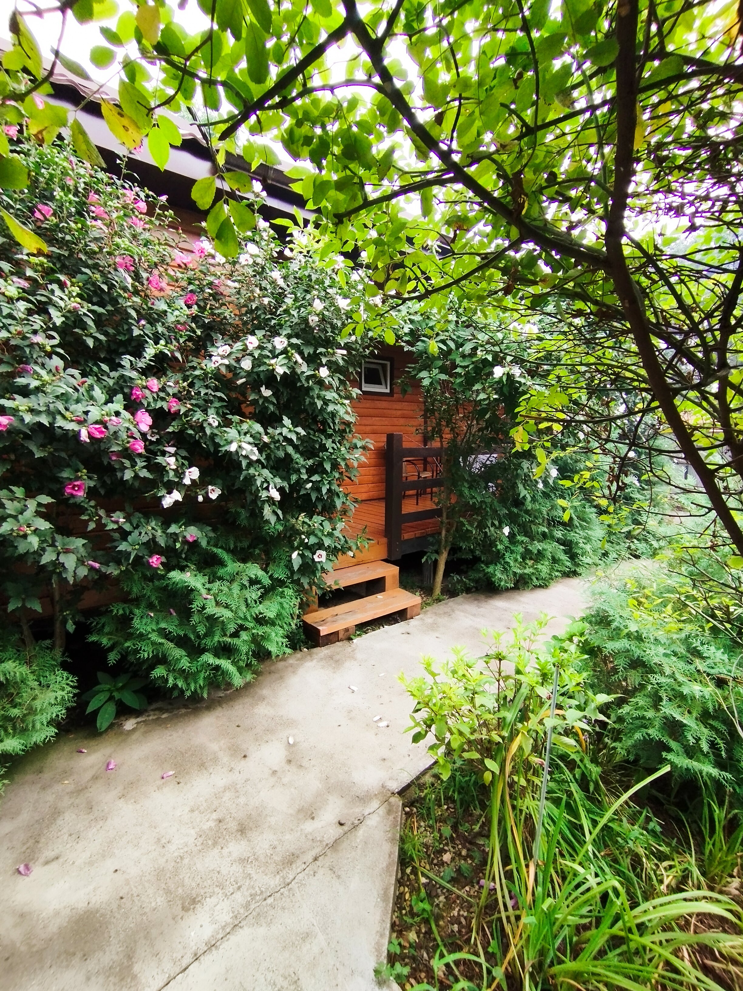 Фото Зелёный уголок