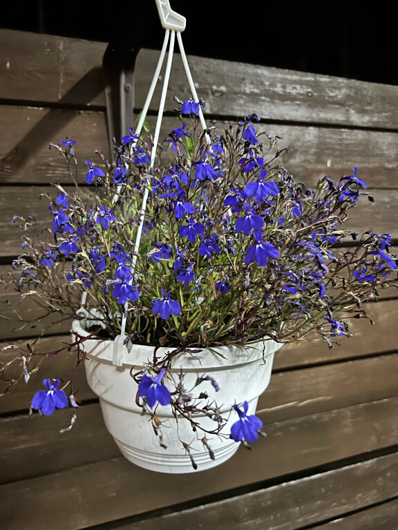 Фото Байкальское Шале