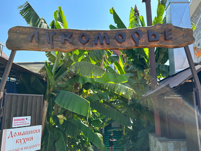 Фото Лукоморье