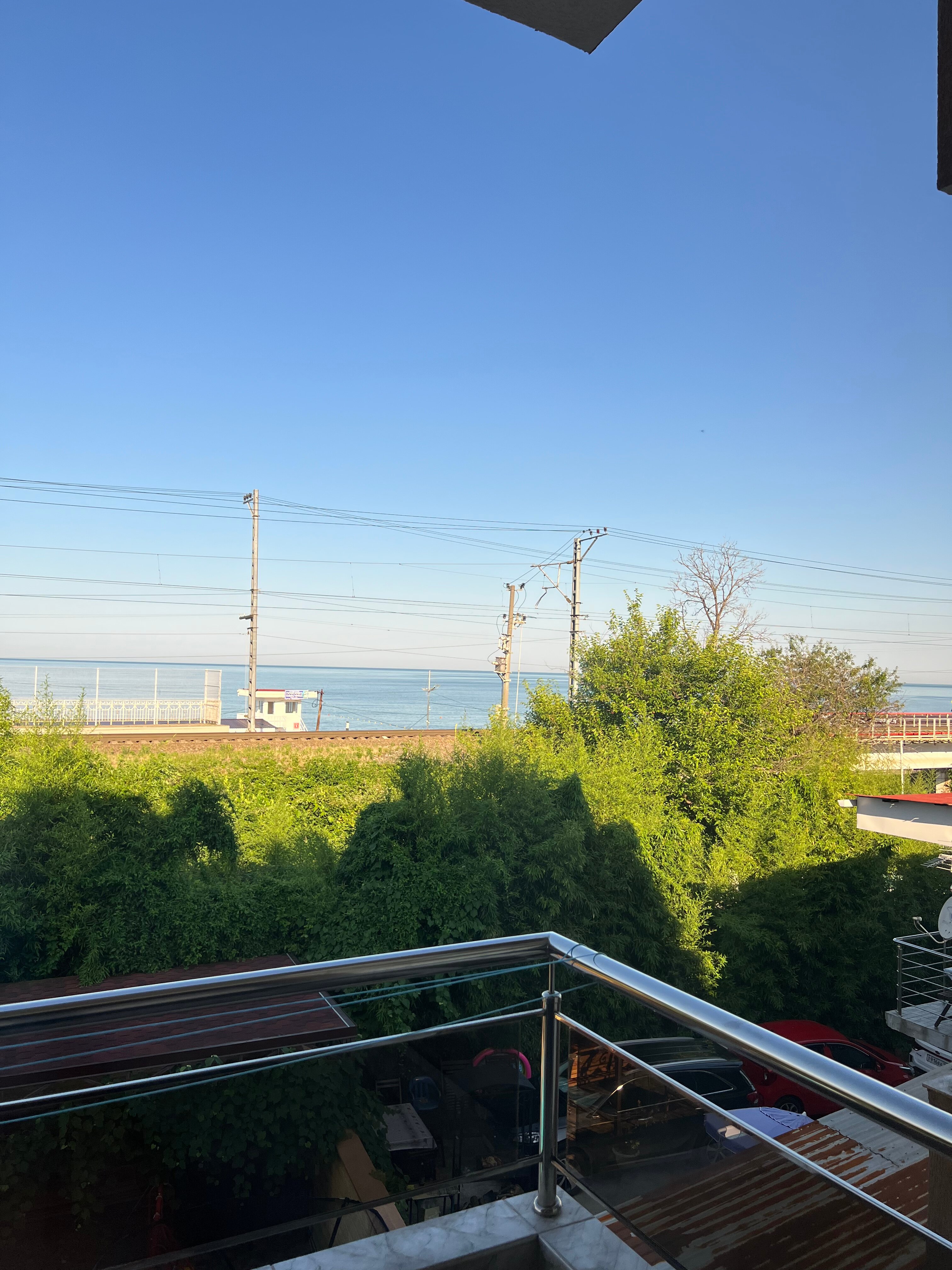 Фото Роза Ветров