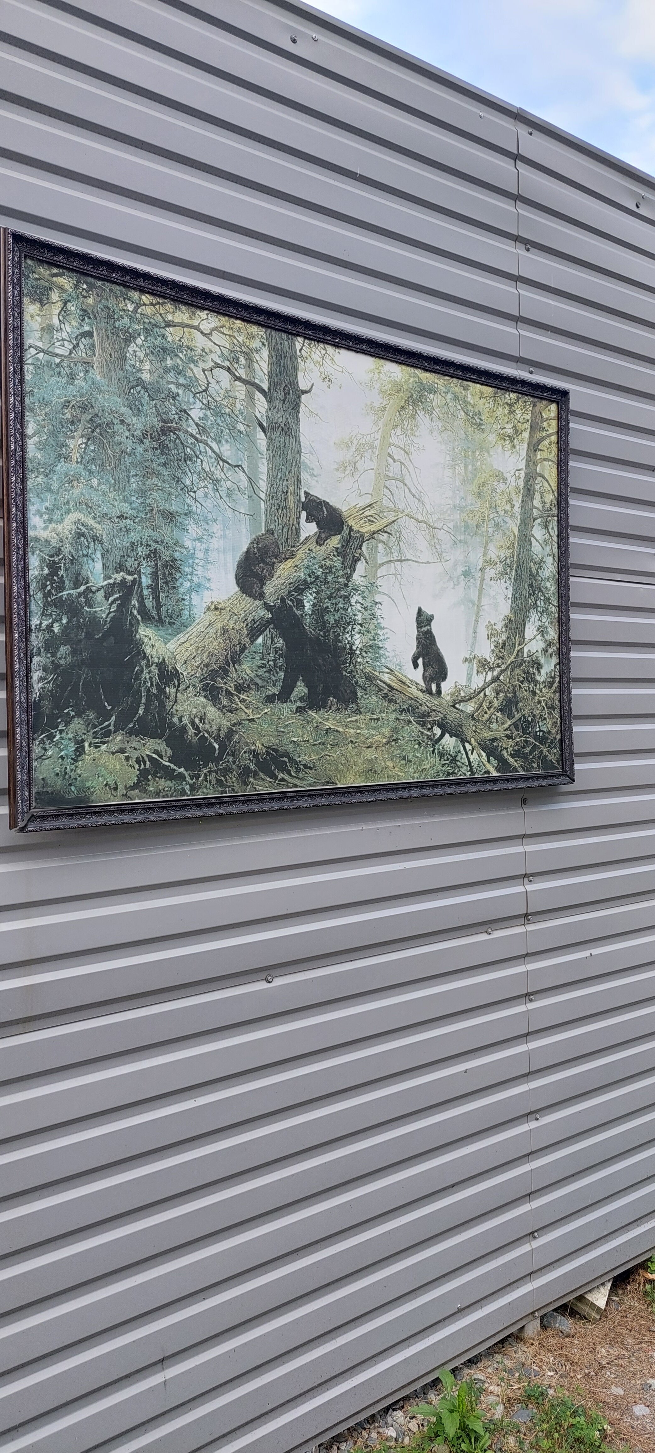 Фото Альпина парк