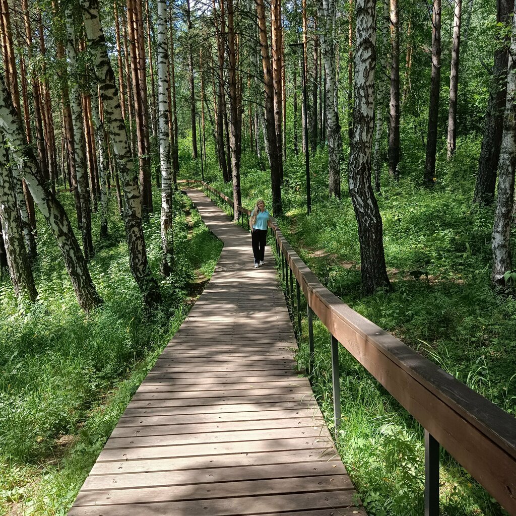 Urban forest Гремячая Грива, Krasnoyarsk, photo