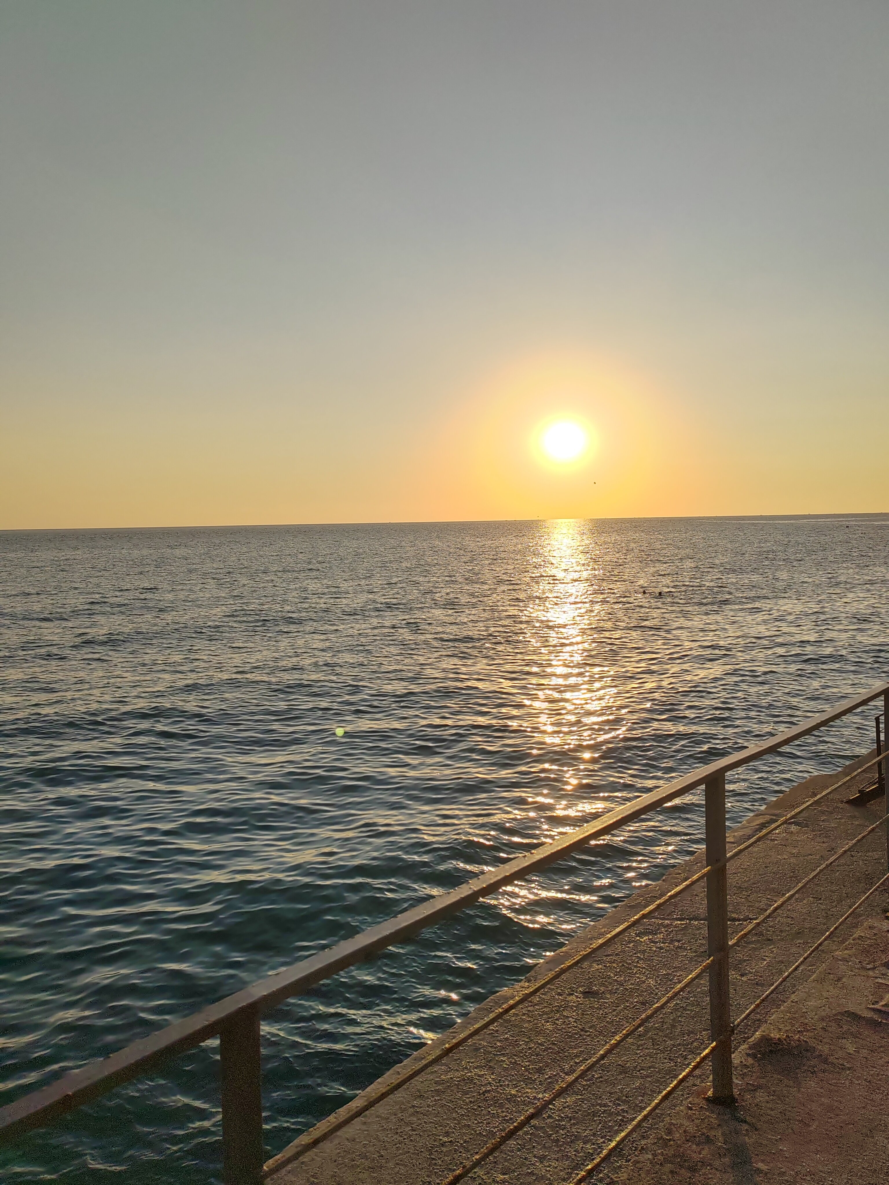 Фото Эллинг 6