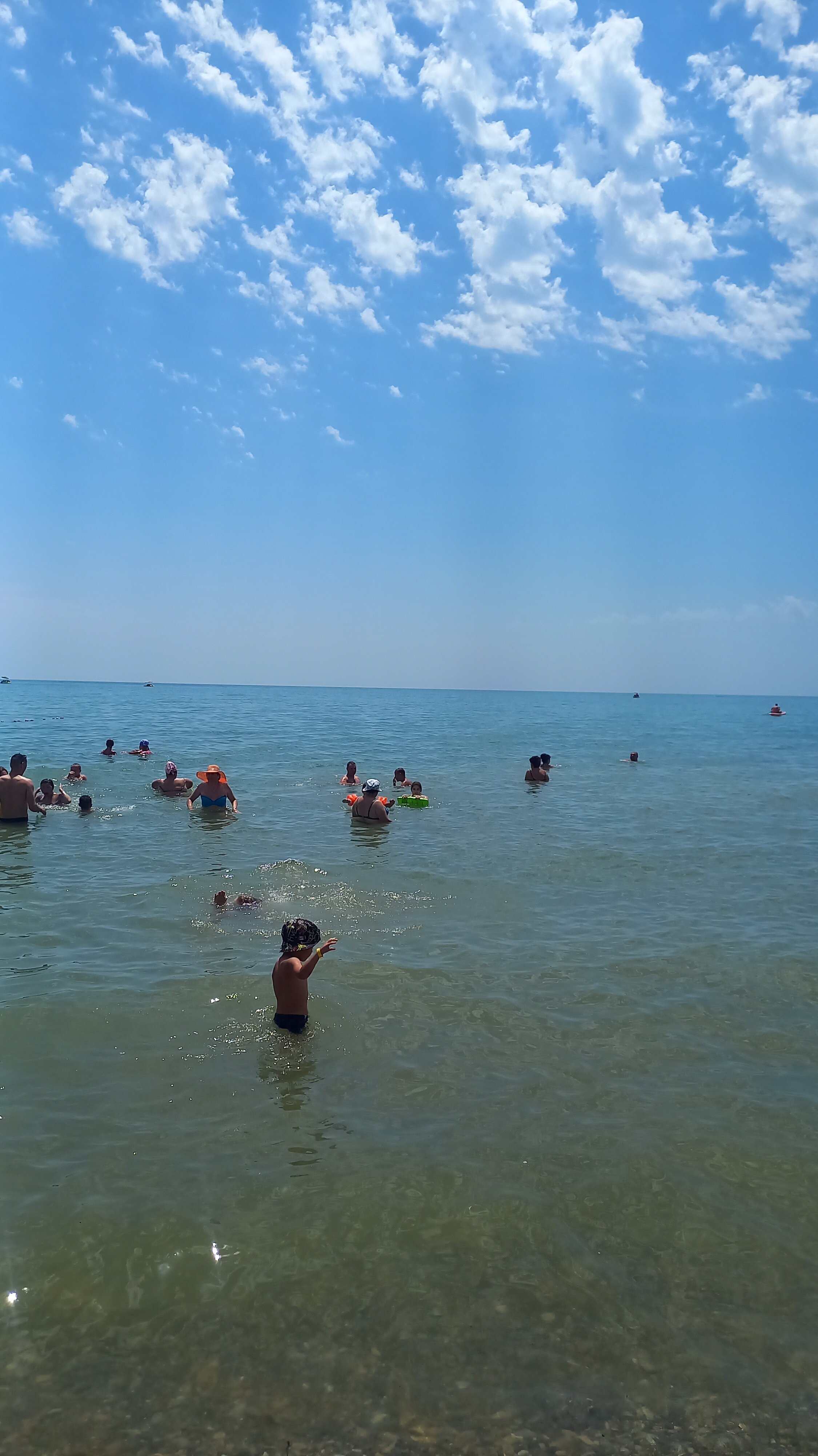 Фото Черноморская лоза