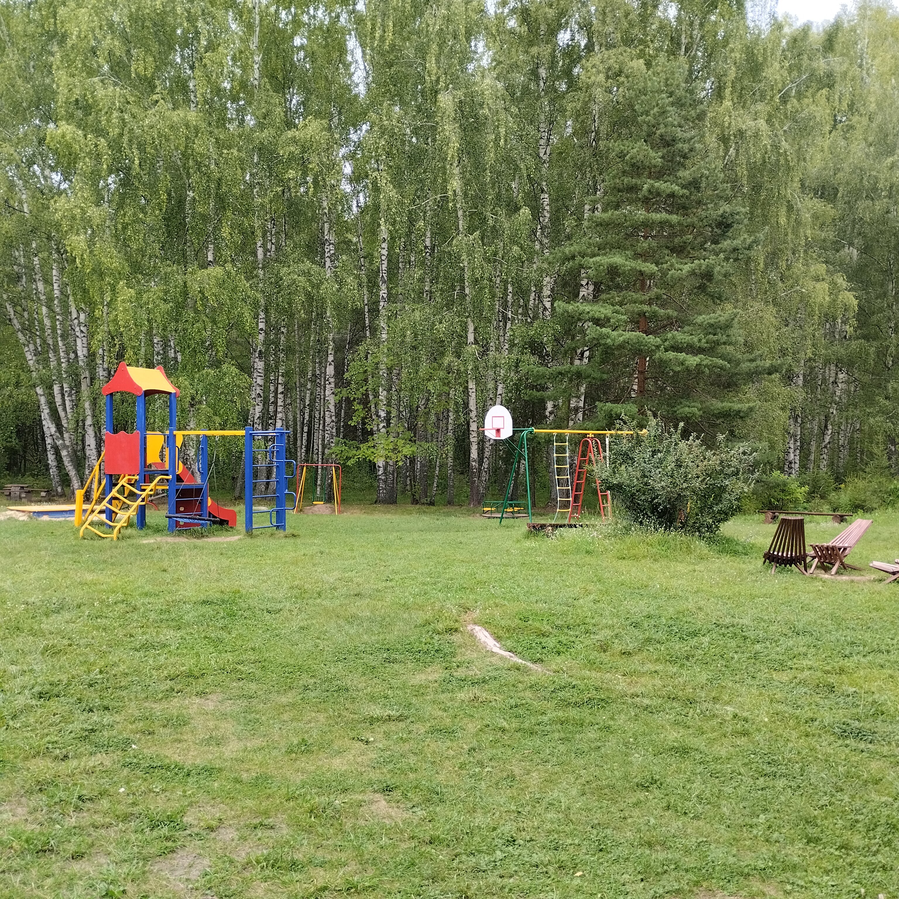 Фото Буревестник