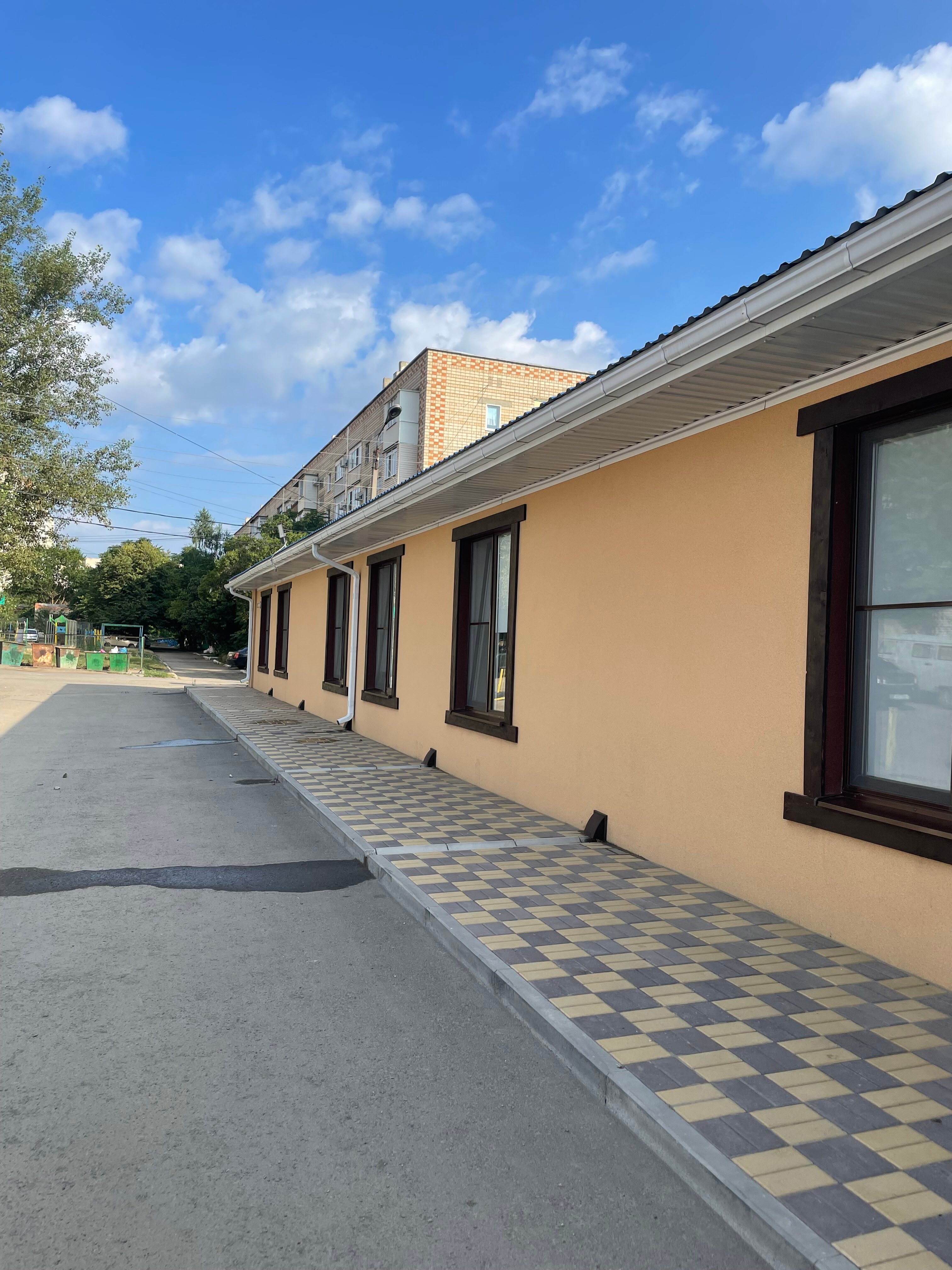 Фото Подсолнух