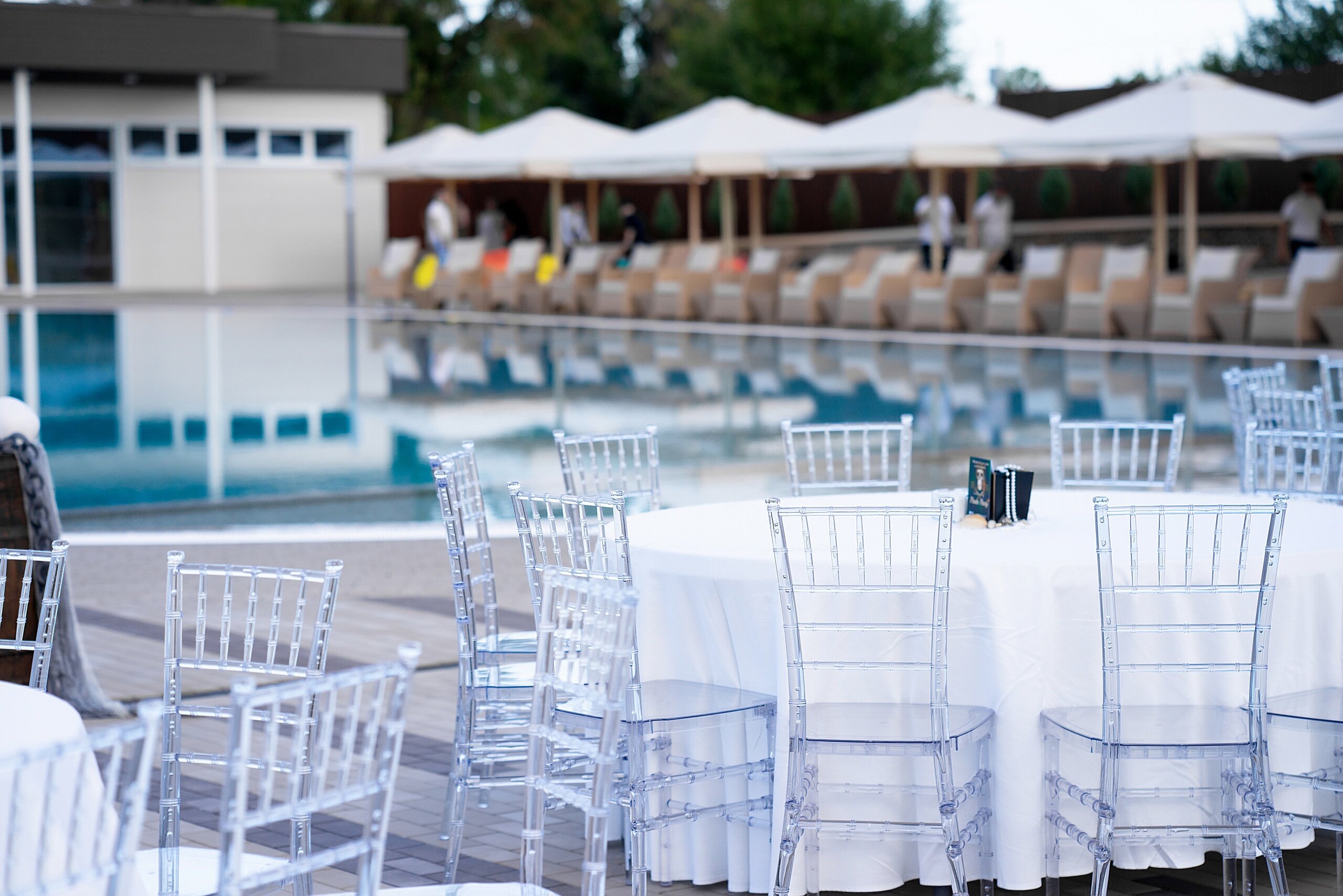 Фото Наша Хвоя