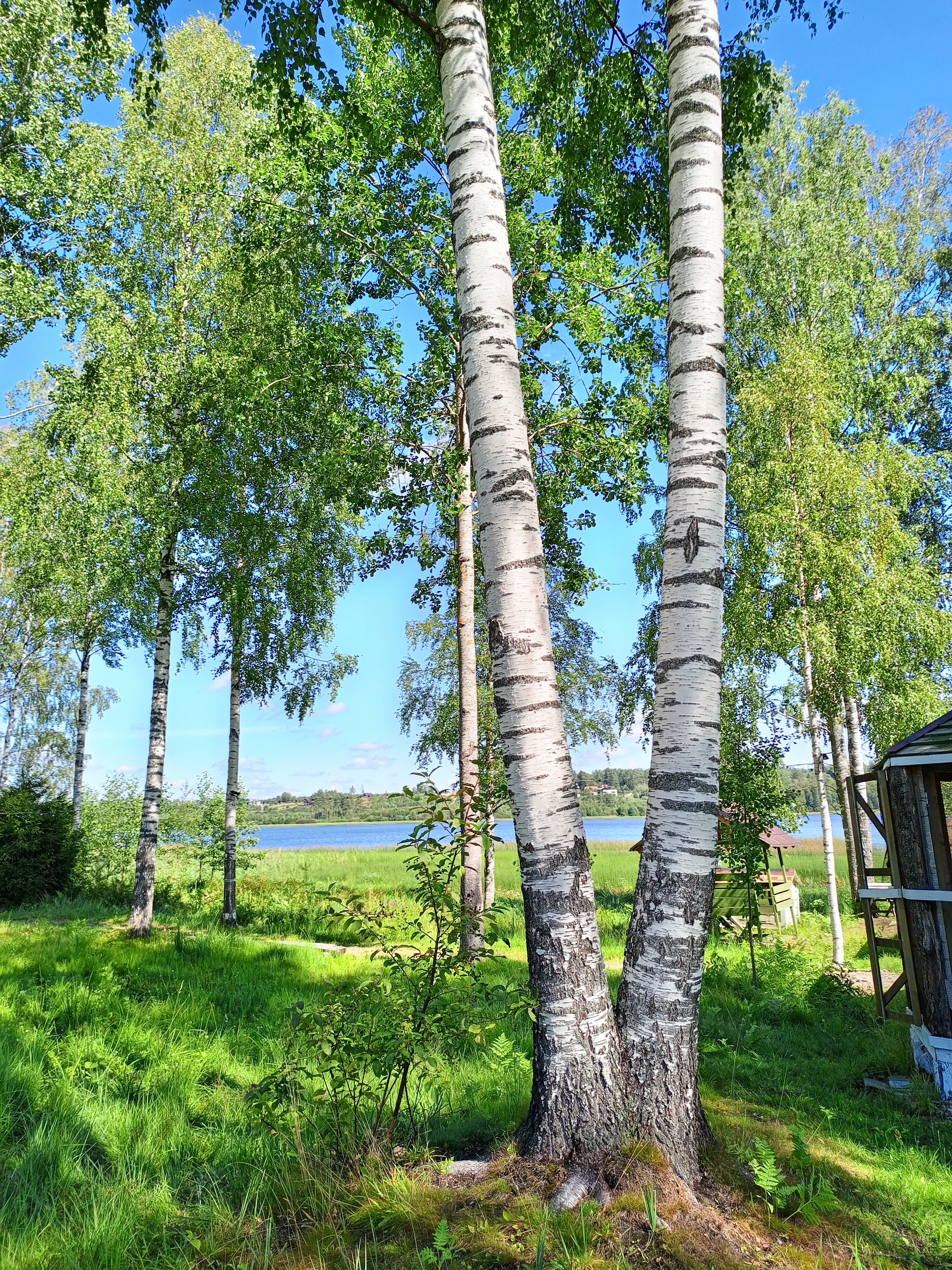 Фото Русская Красавица