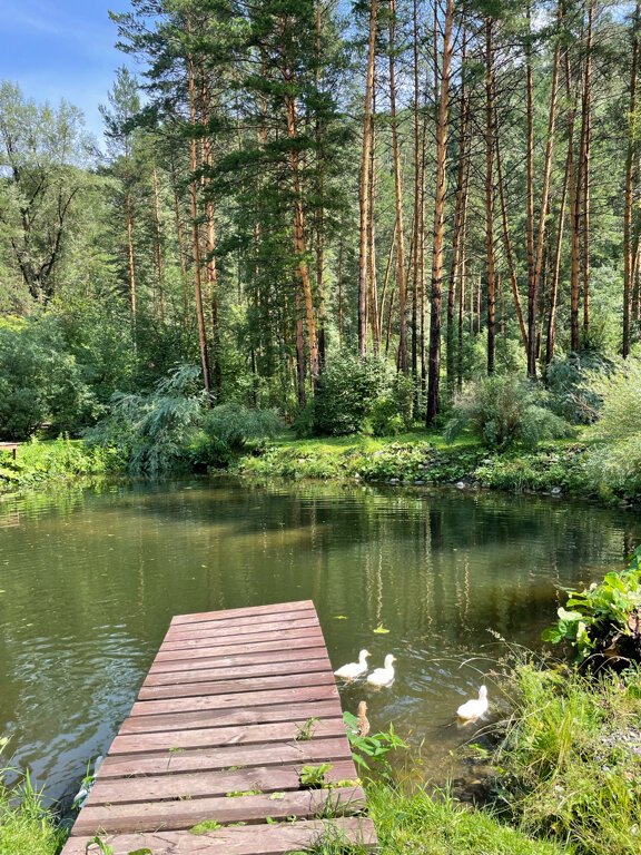Фото Деревня Берендеевка