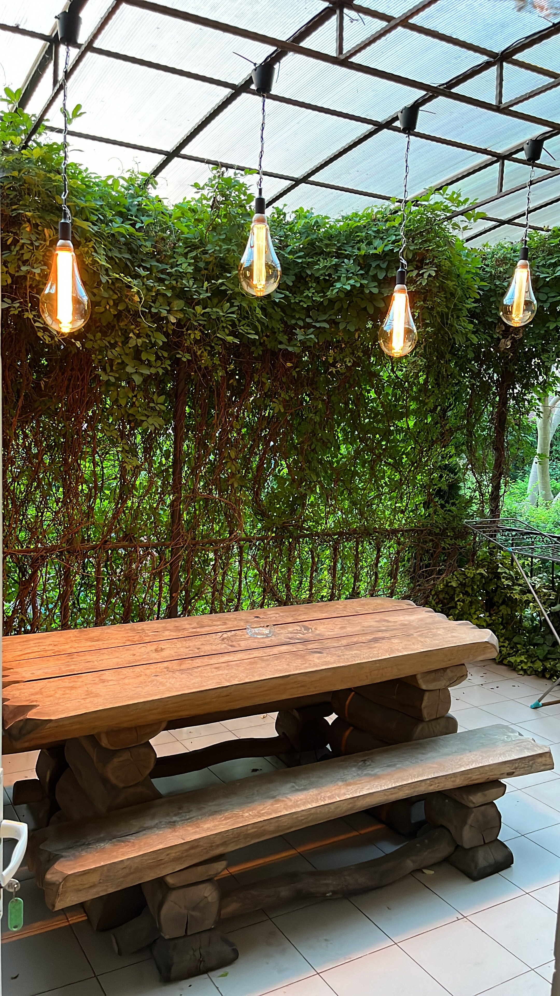 Фото У Старого Абрикоса