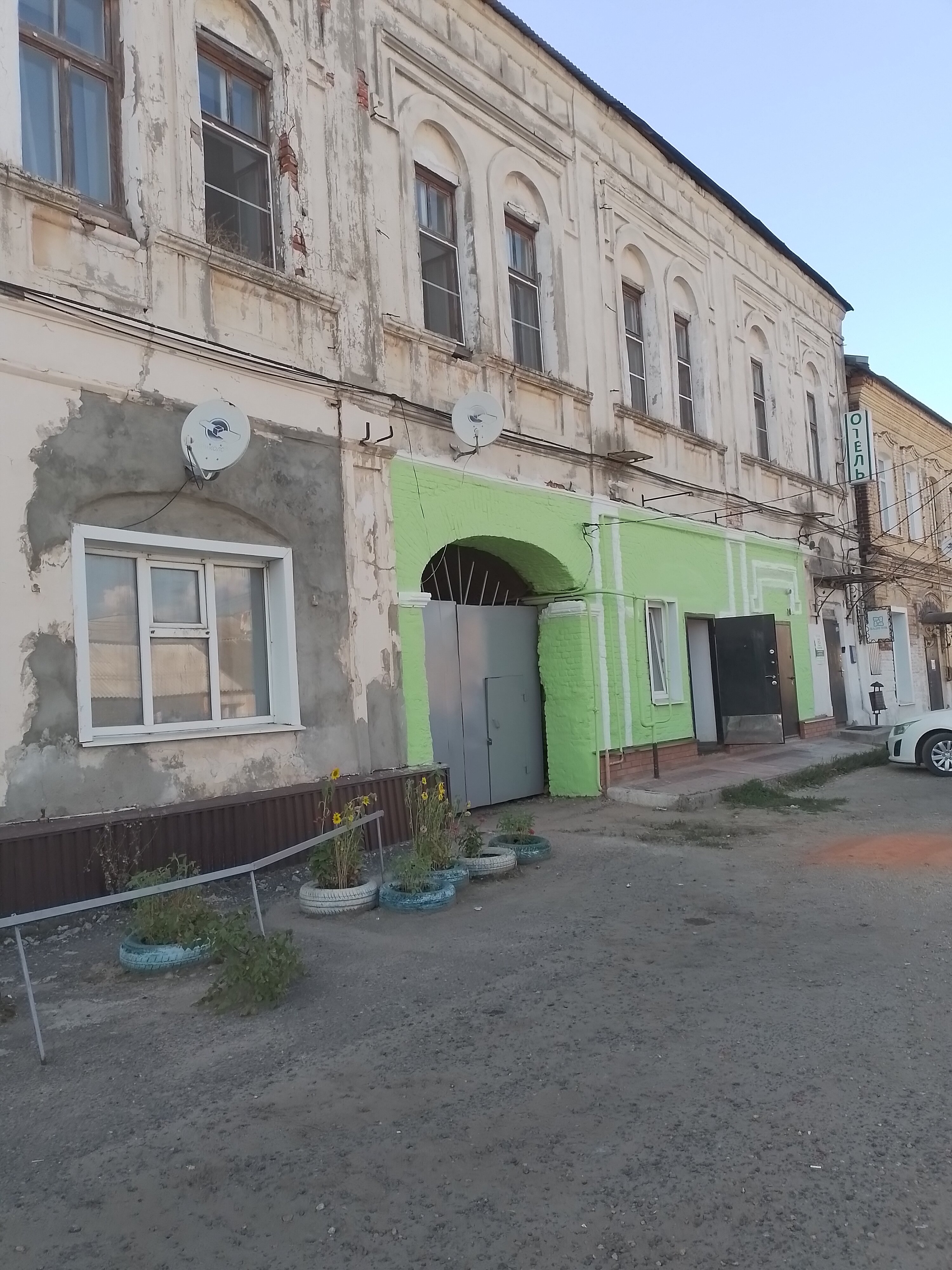 Фото Базилик