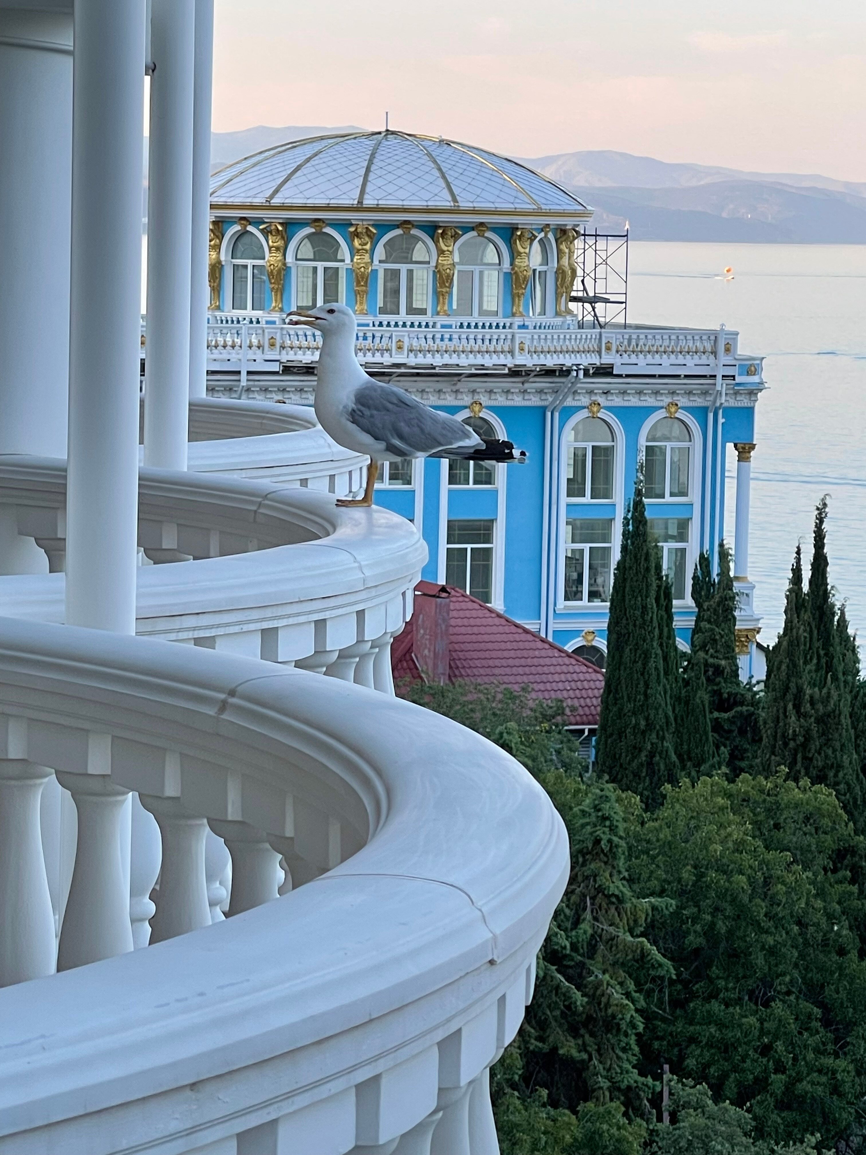 Фото Блюмарин