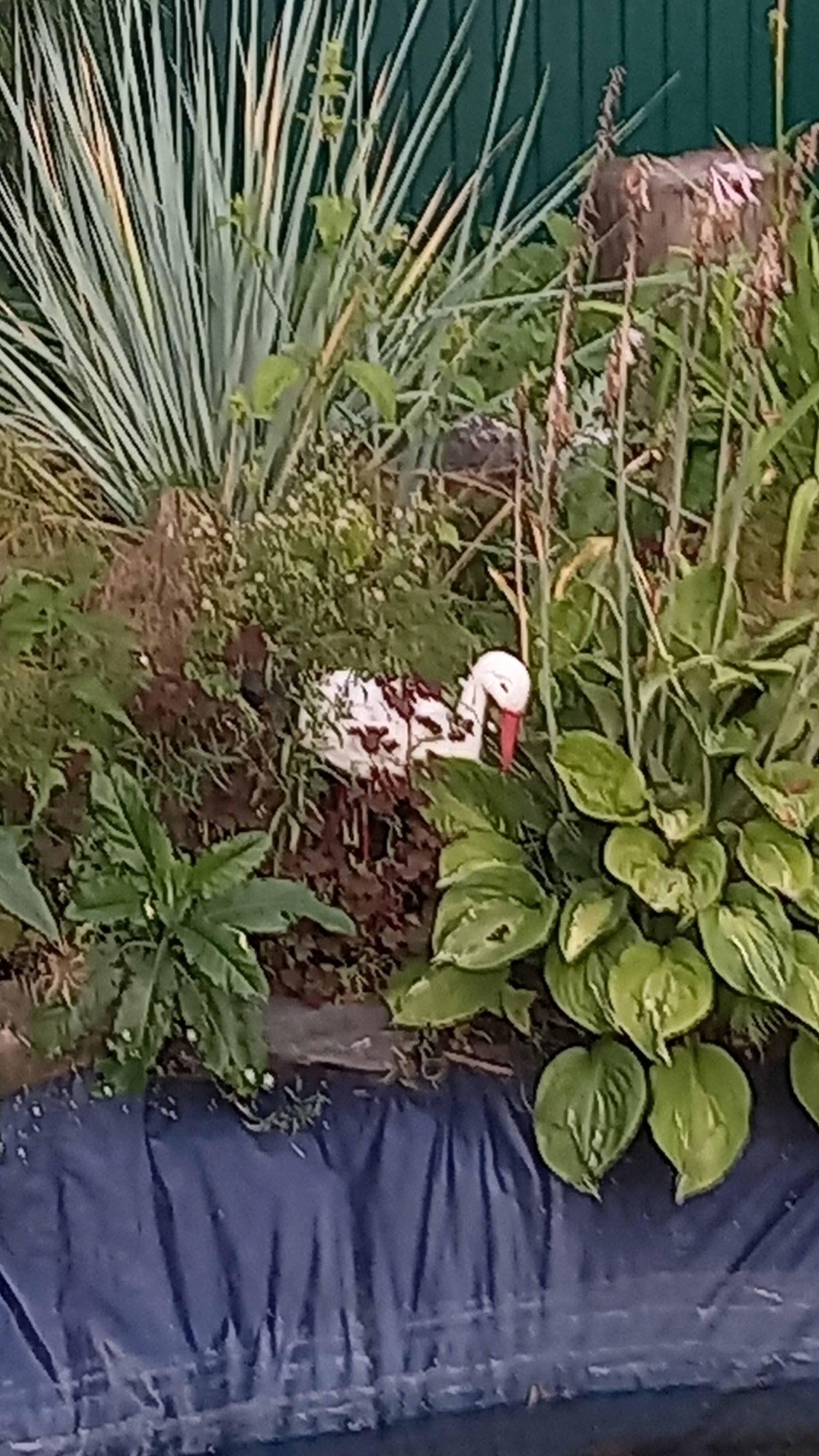 Фото Дух Леса