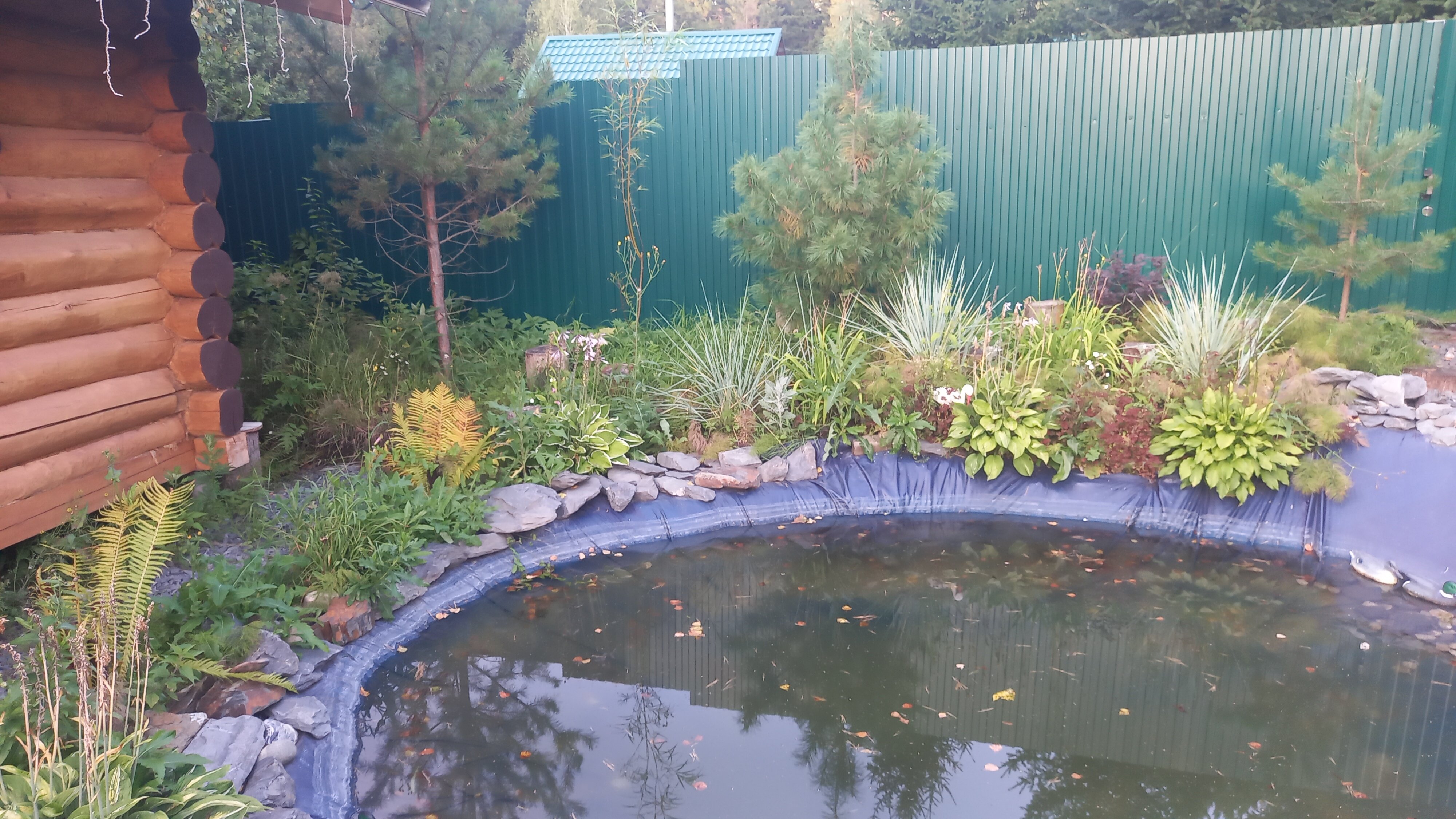 Фото Дух Леса