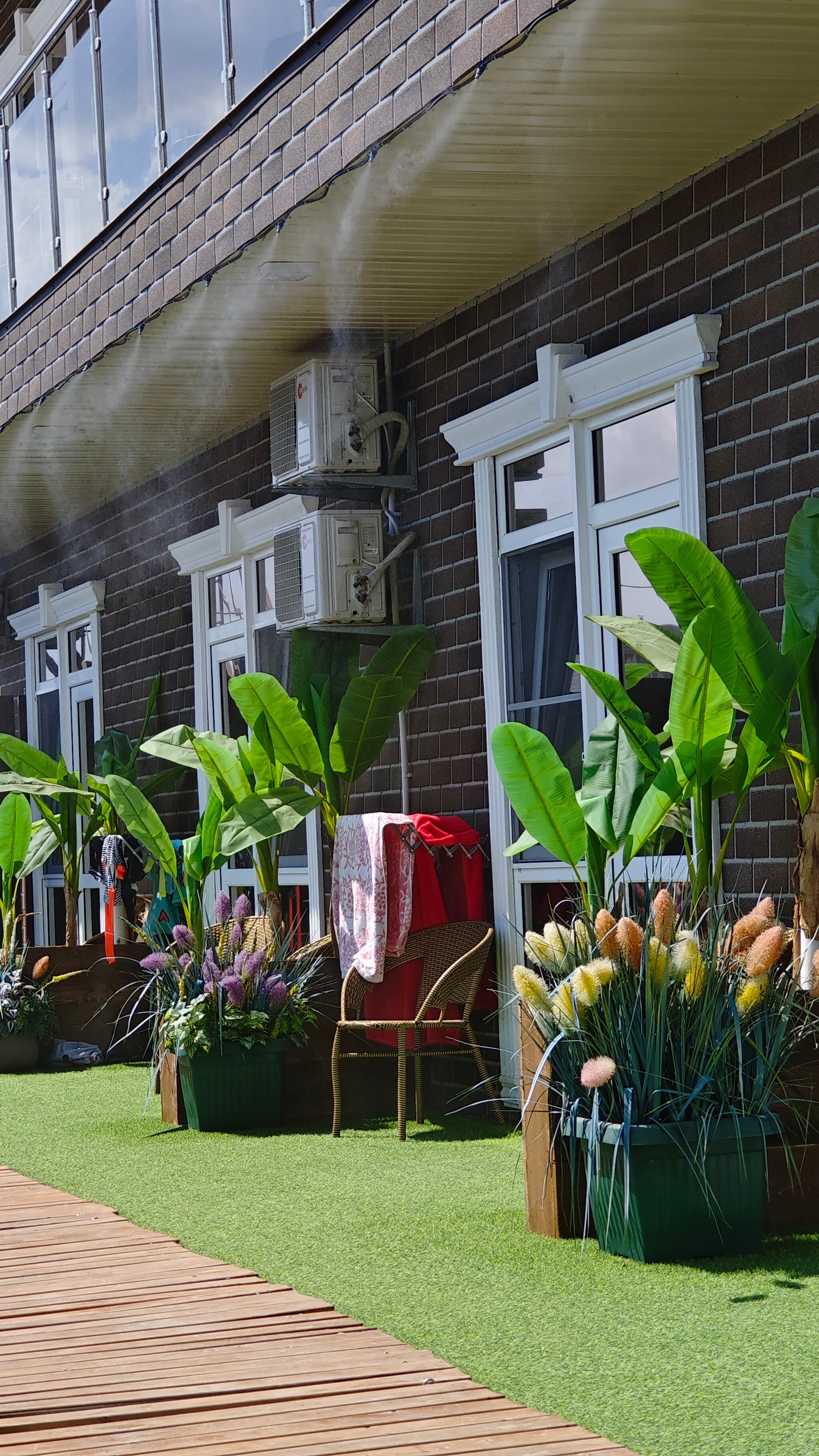 Фото Дионида