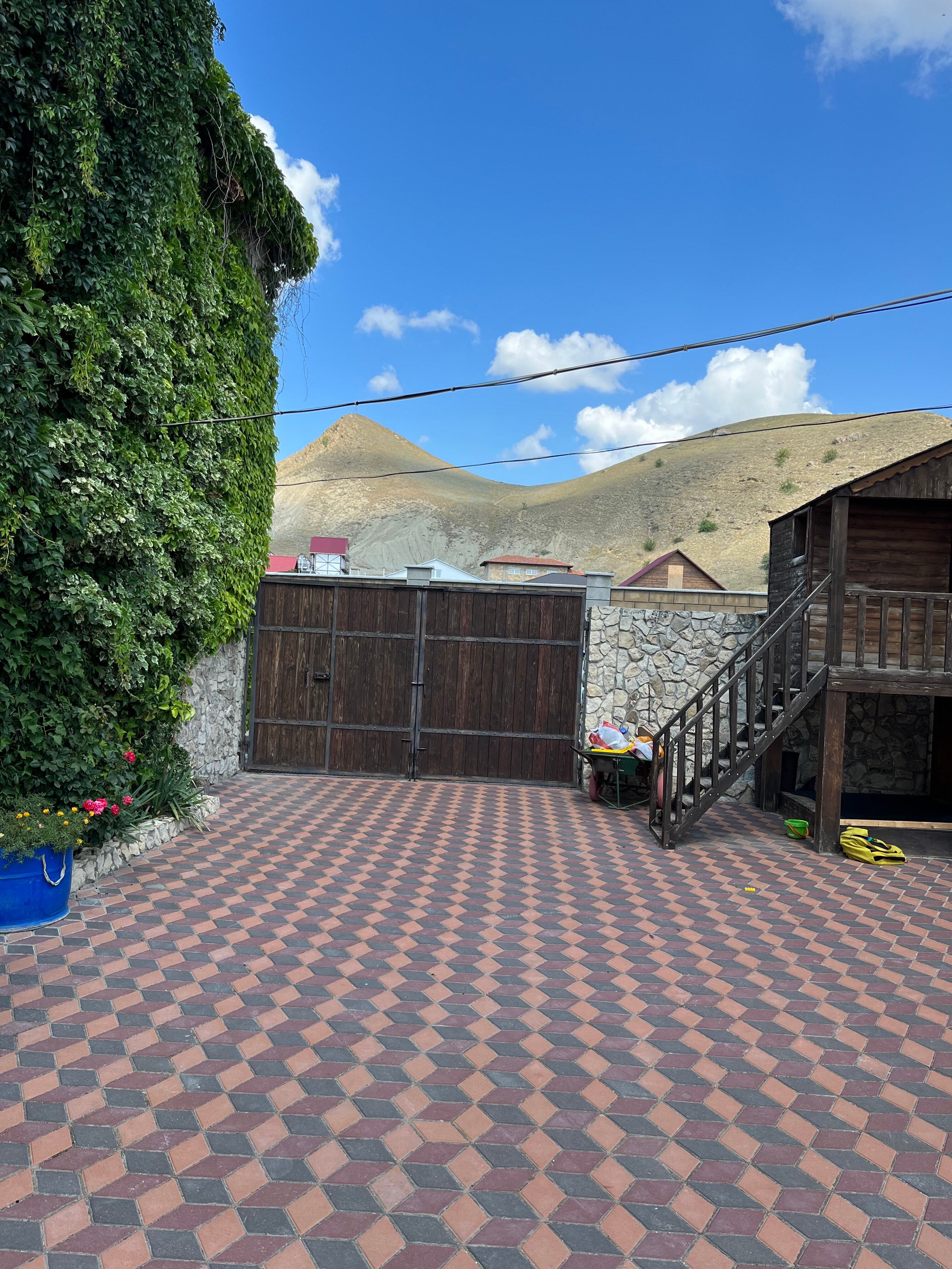 Фото Сапсан