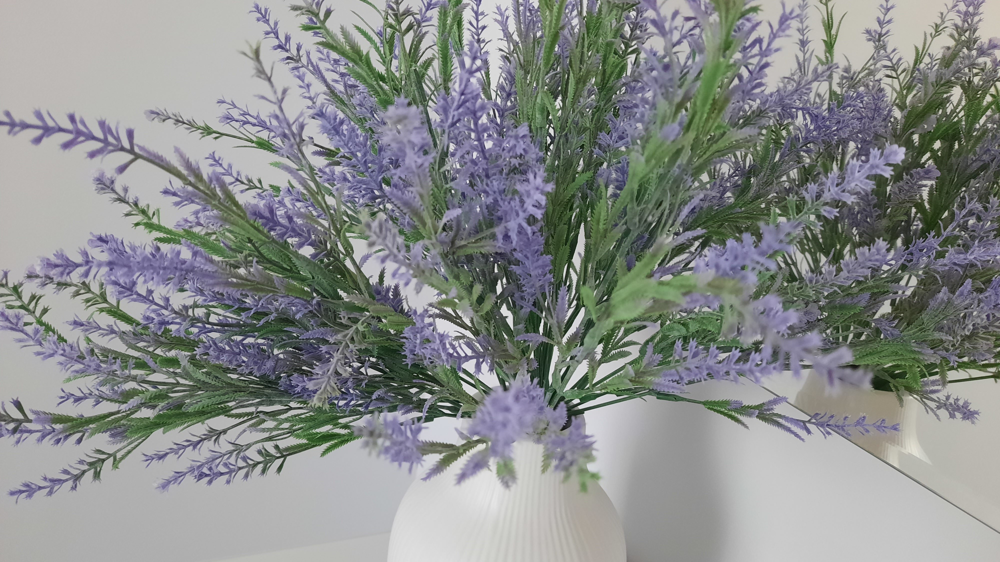 Фото Прованс