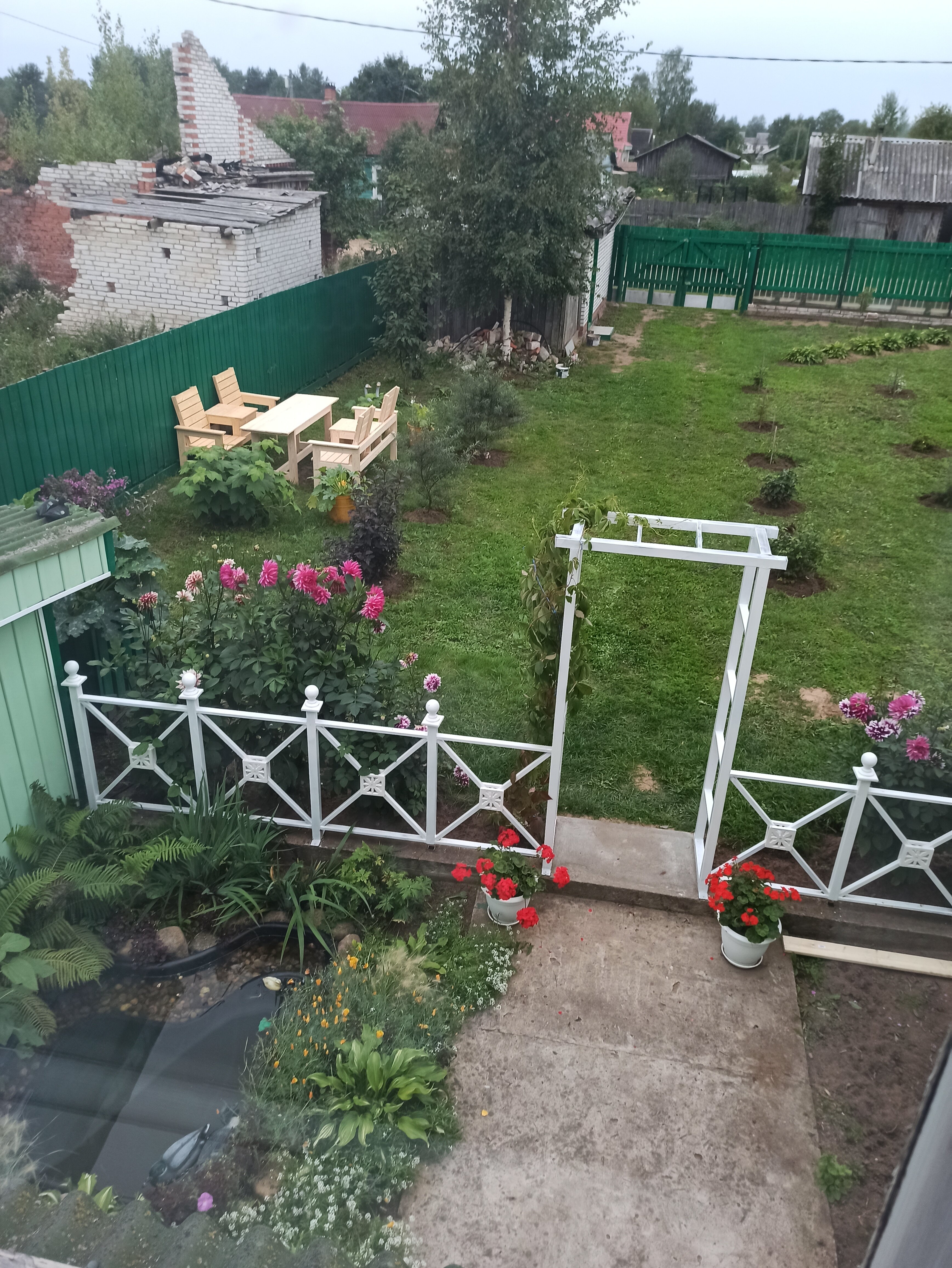 Фото Сенполия