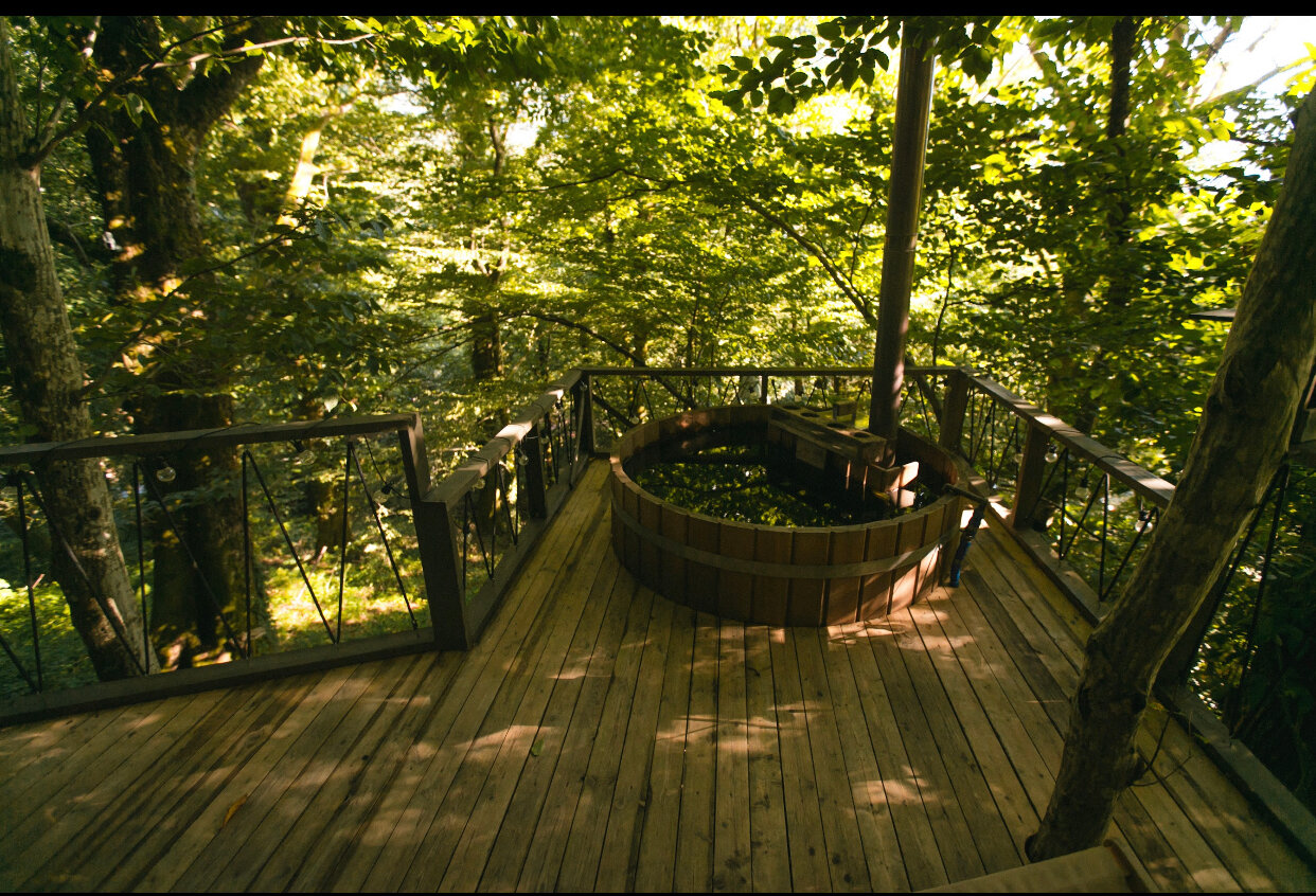 Фото Дзен Поляна