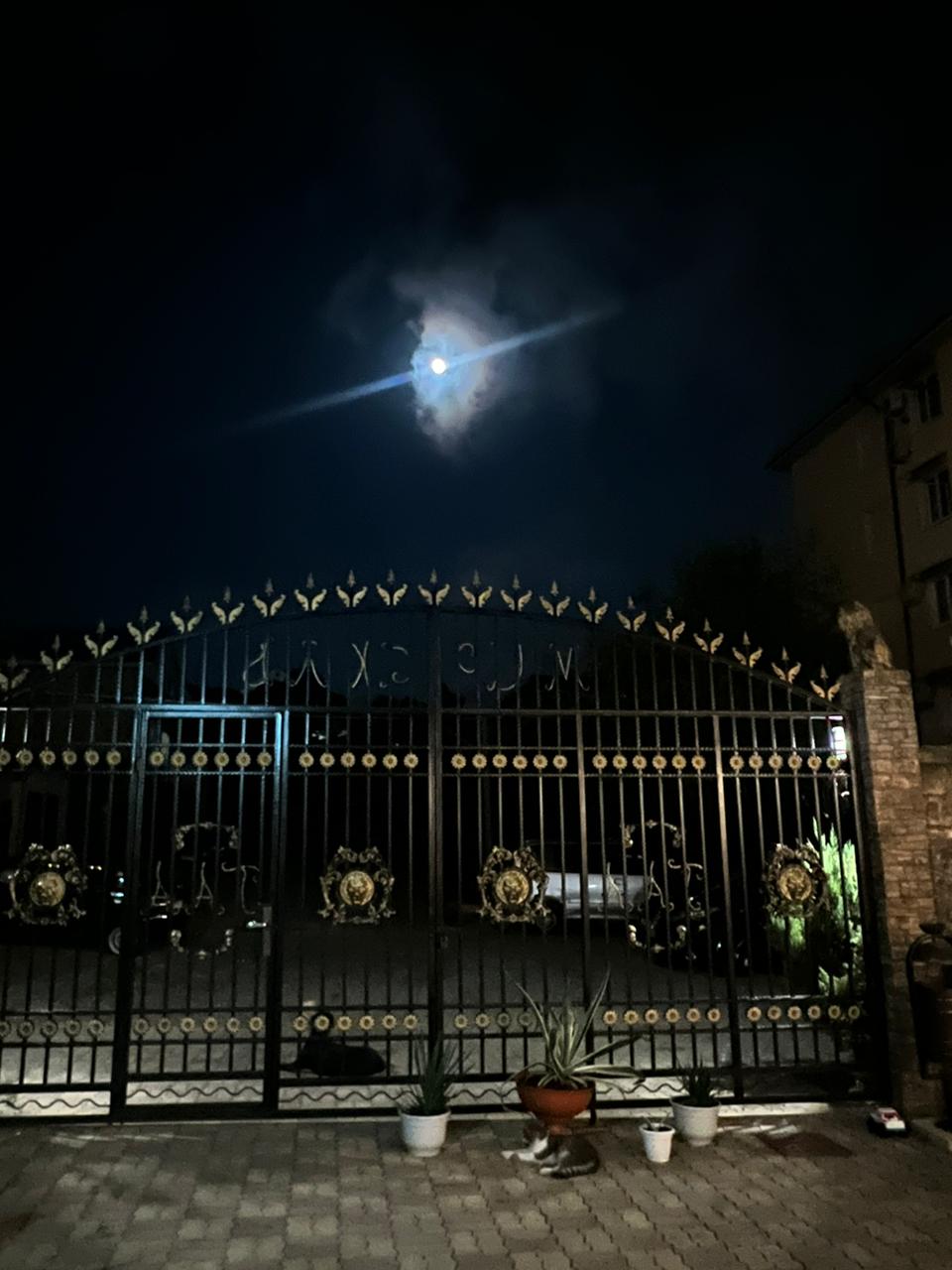 Фото Южный вайб Миракль