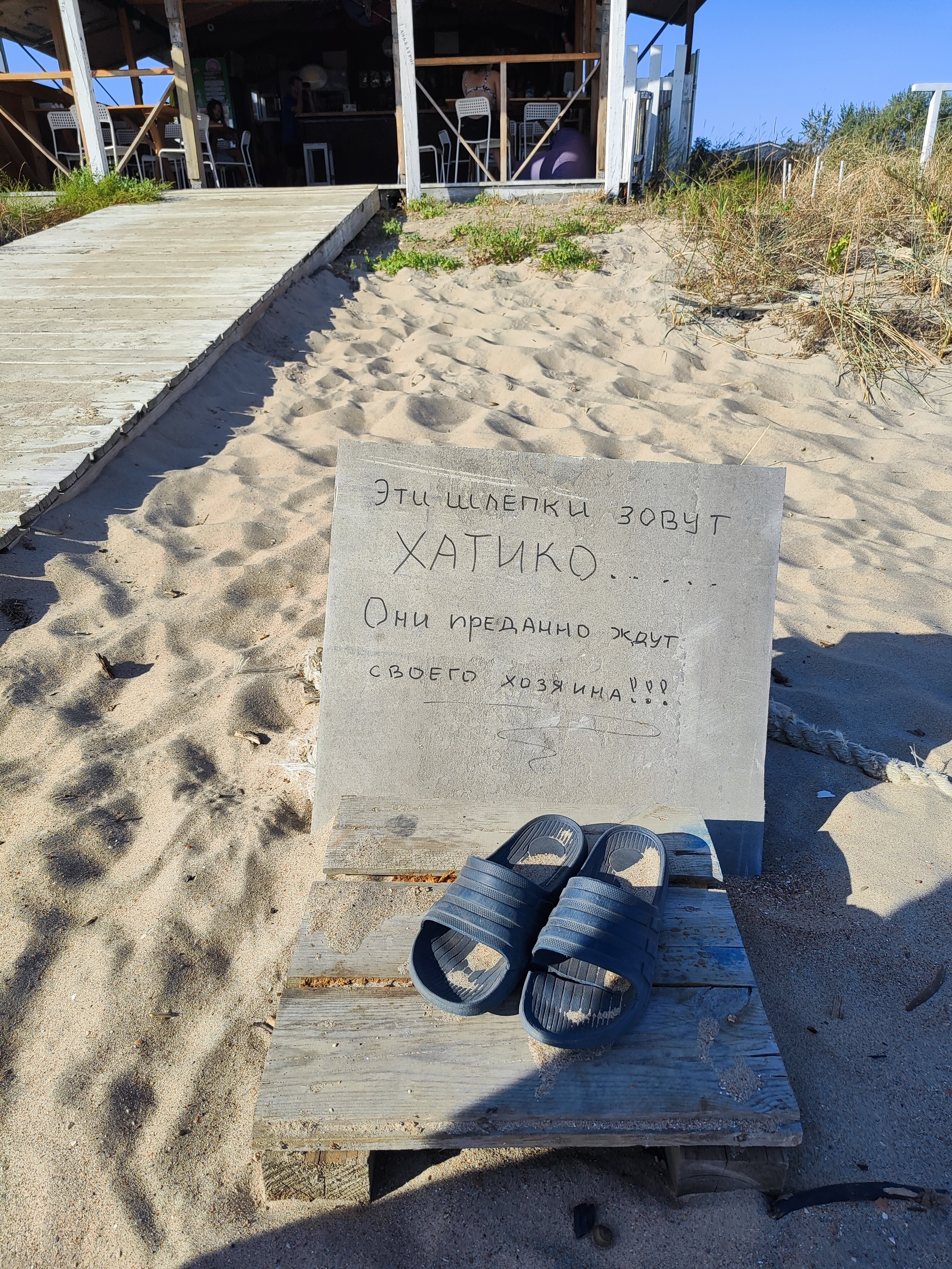 Фото Роза ветров