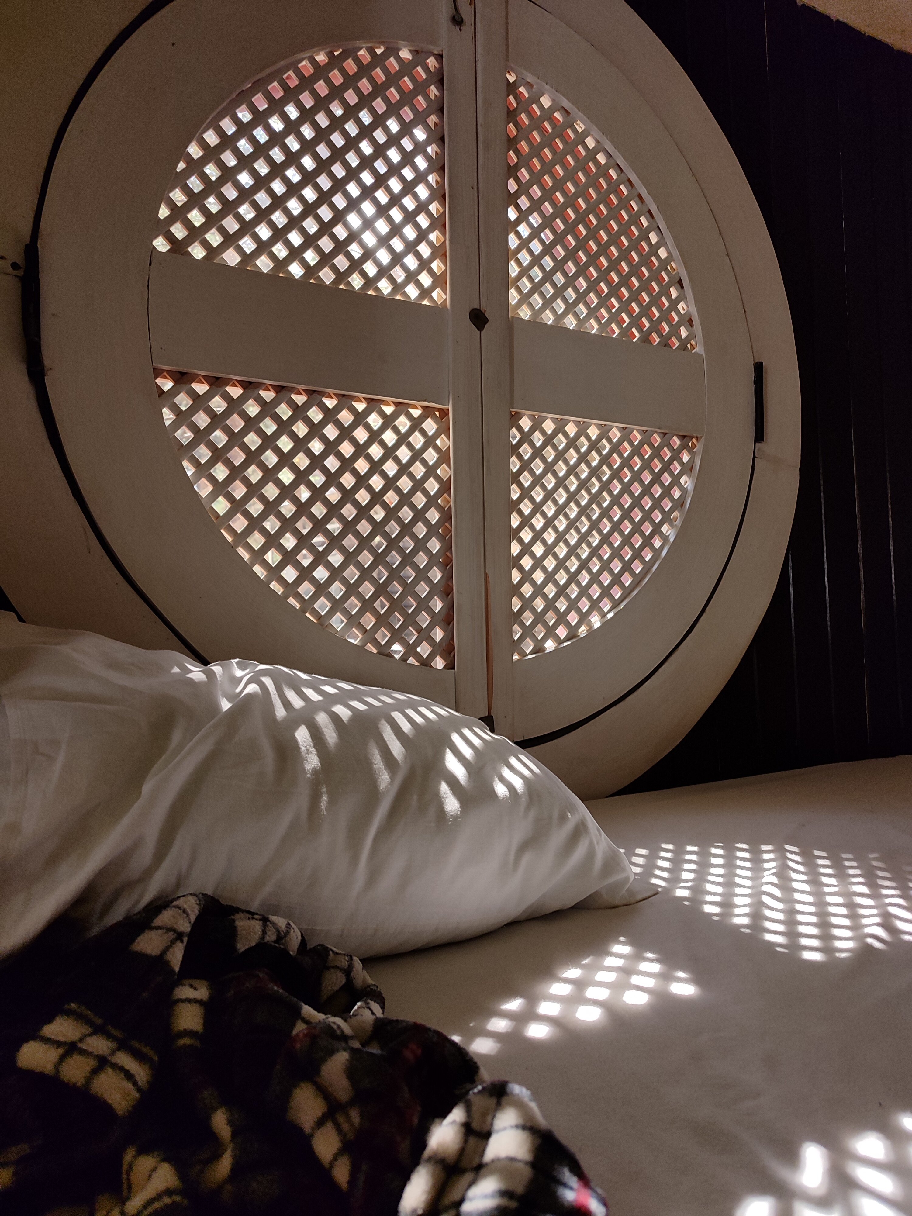 Фото Блэк Поинт