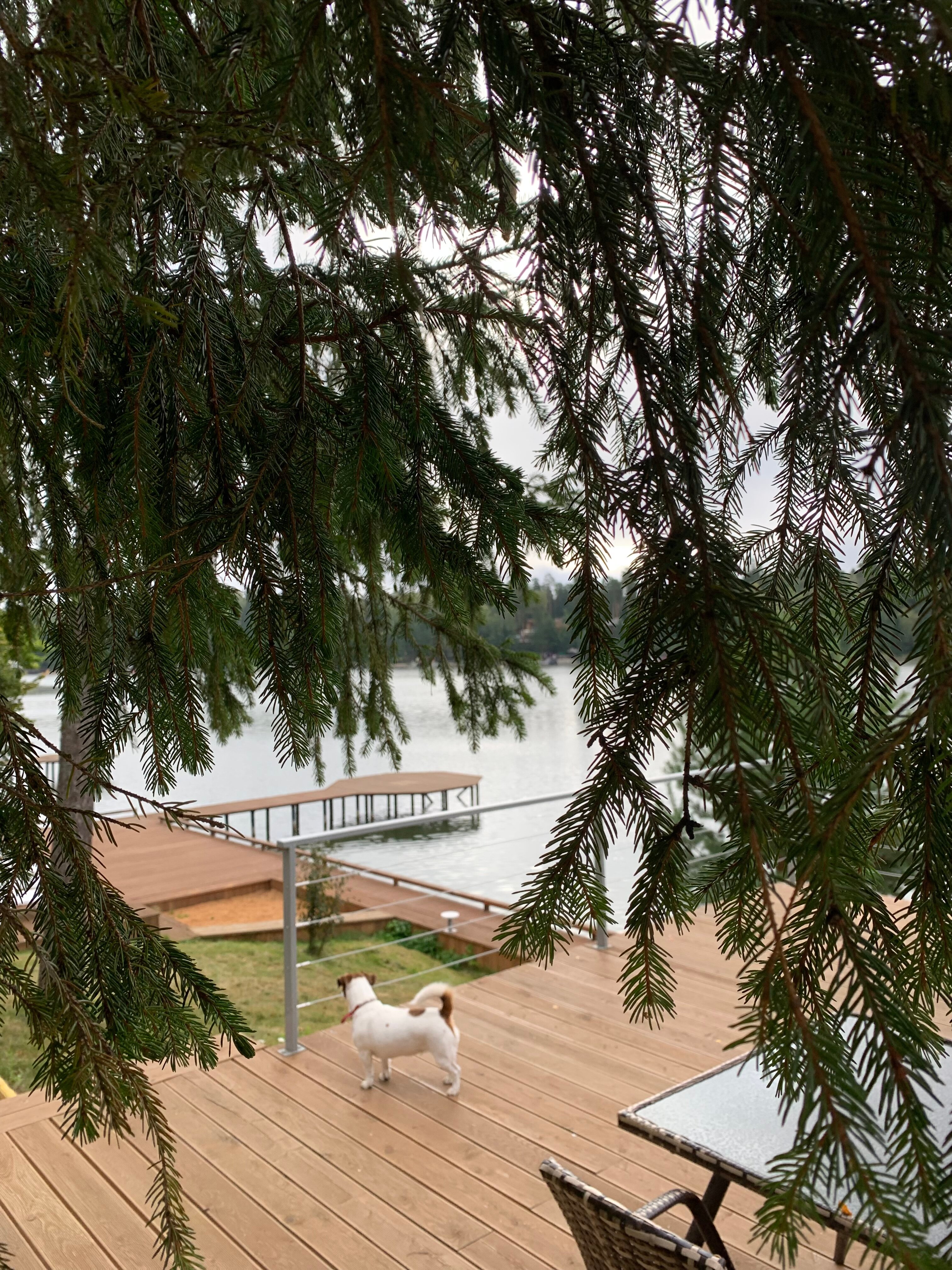 Фото Нептун-2