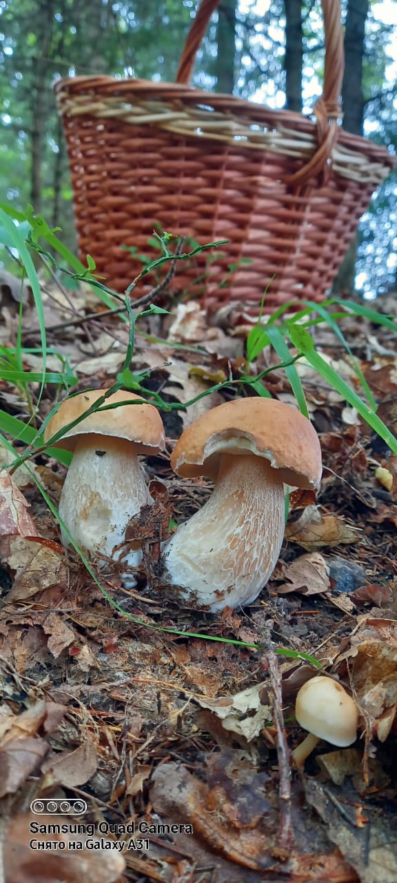 Фото Озерява