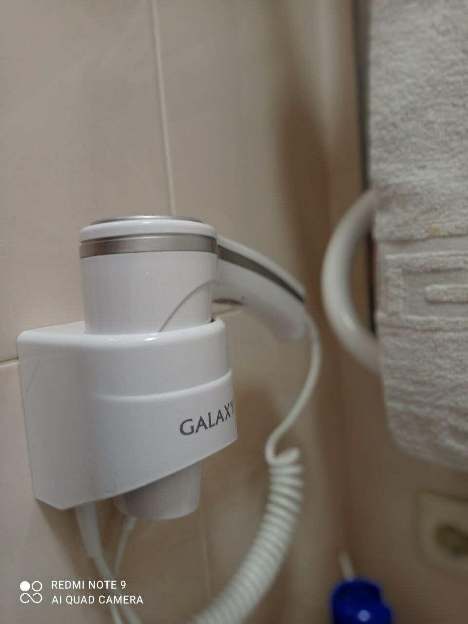 Фото Алупка Роза