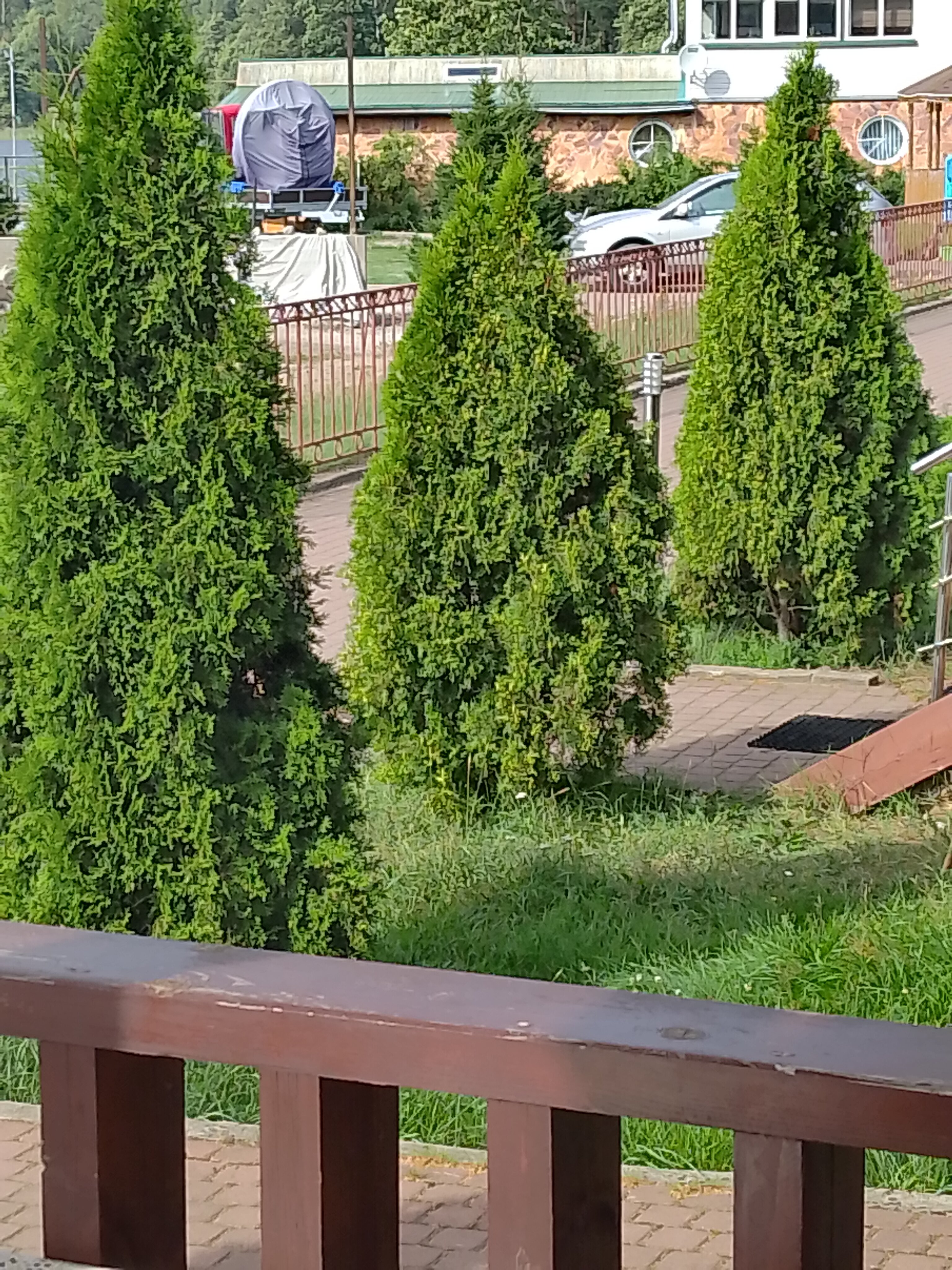 Фото Подборовье